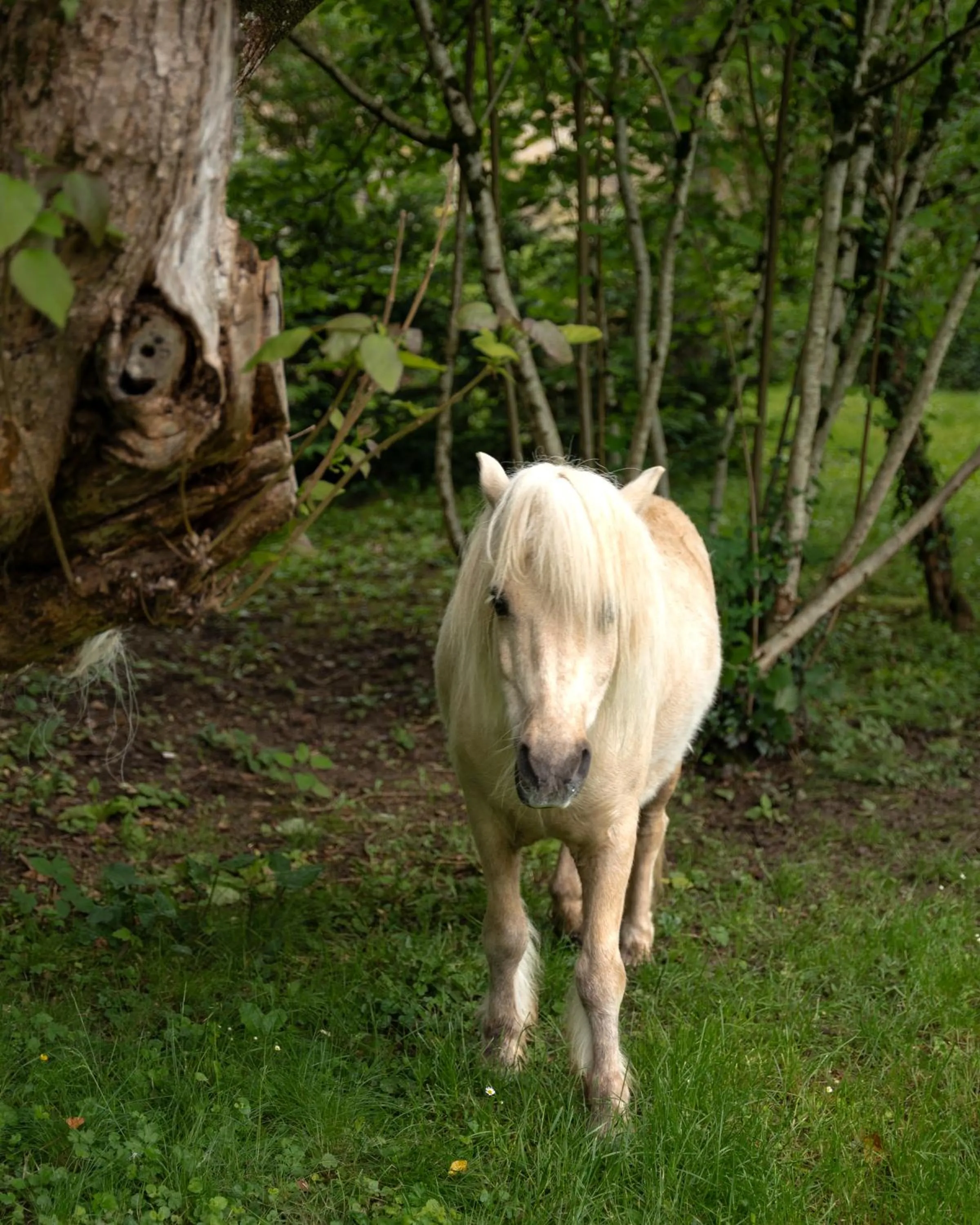 Abbaye de la Bussière