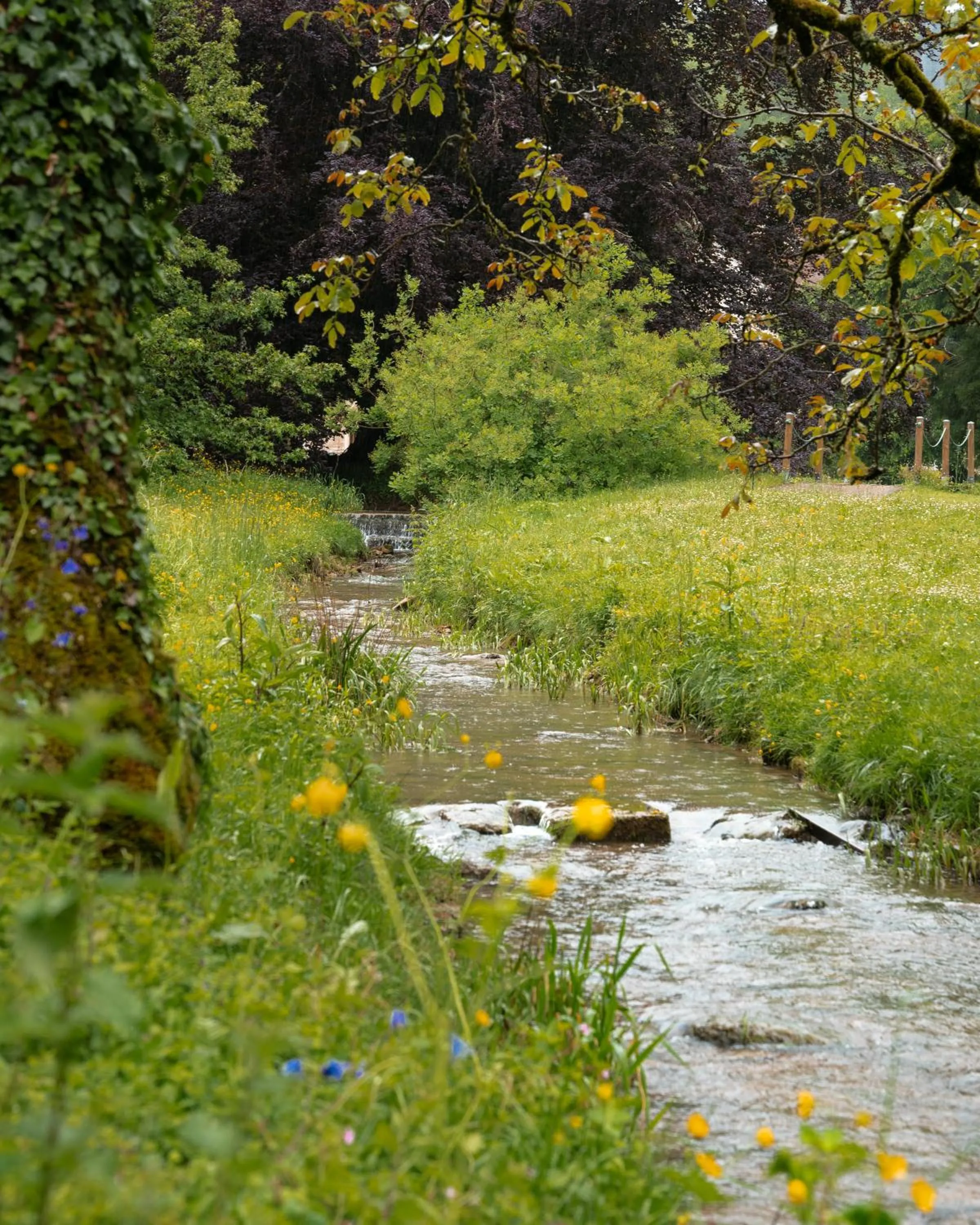 Abbaye de la Bussière
