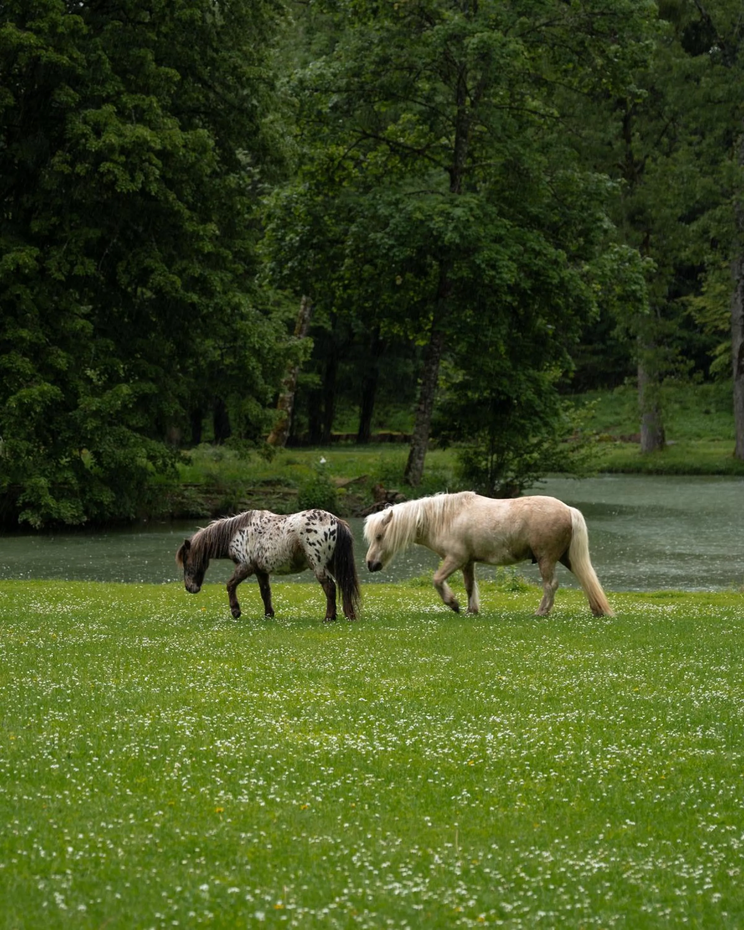 Abbaye de la Bussière