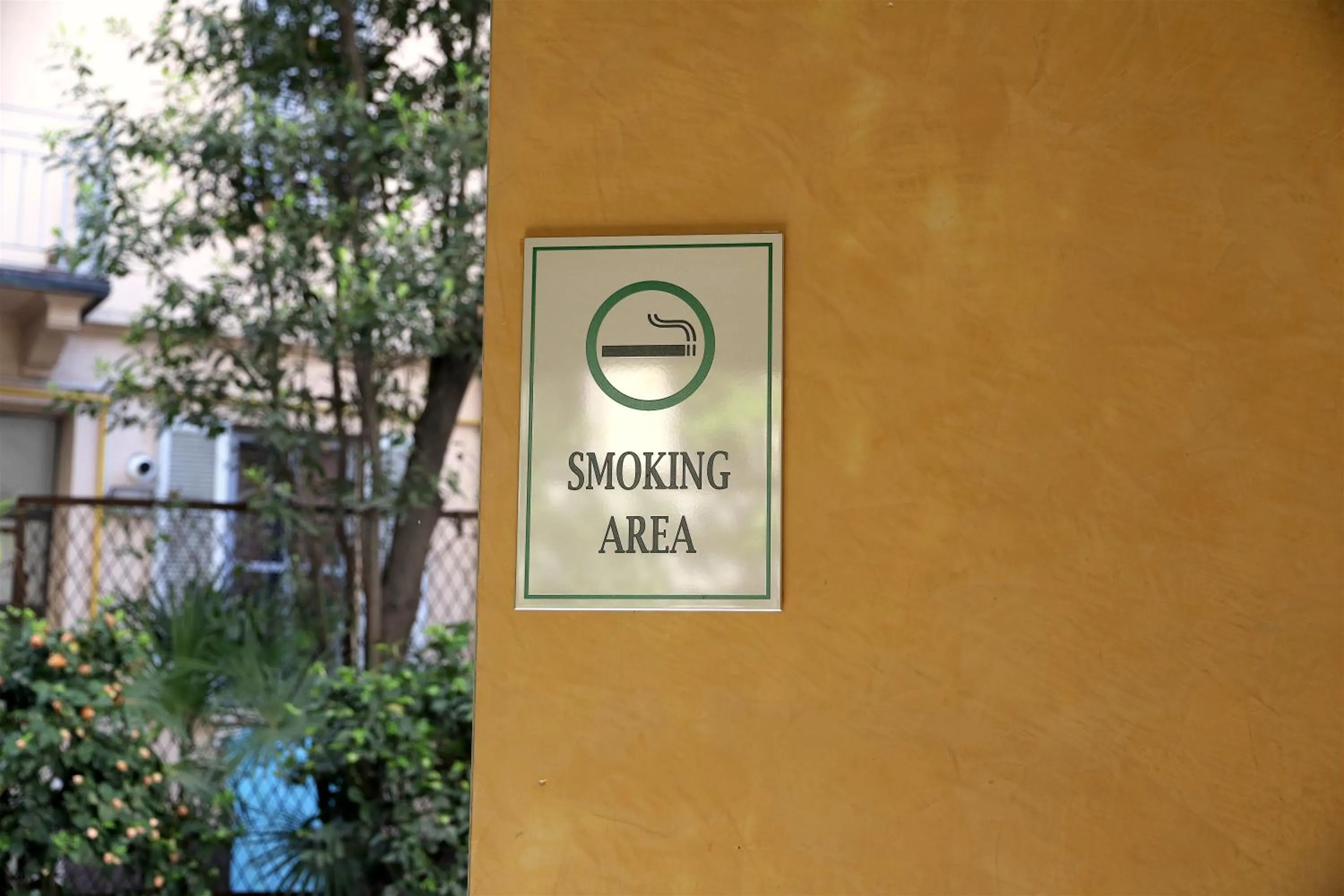 Area and facilities in Hotel Palladio