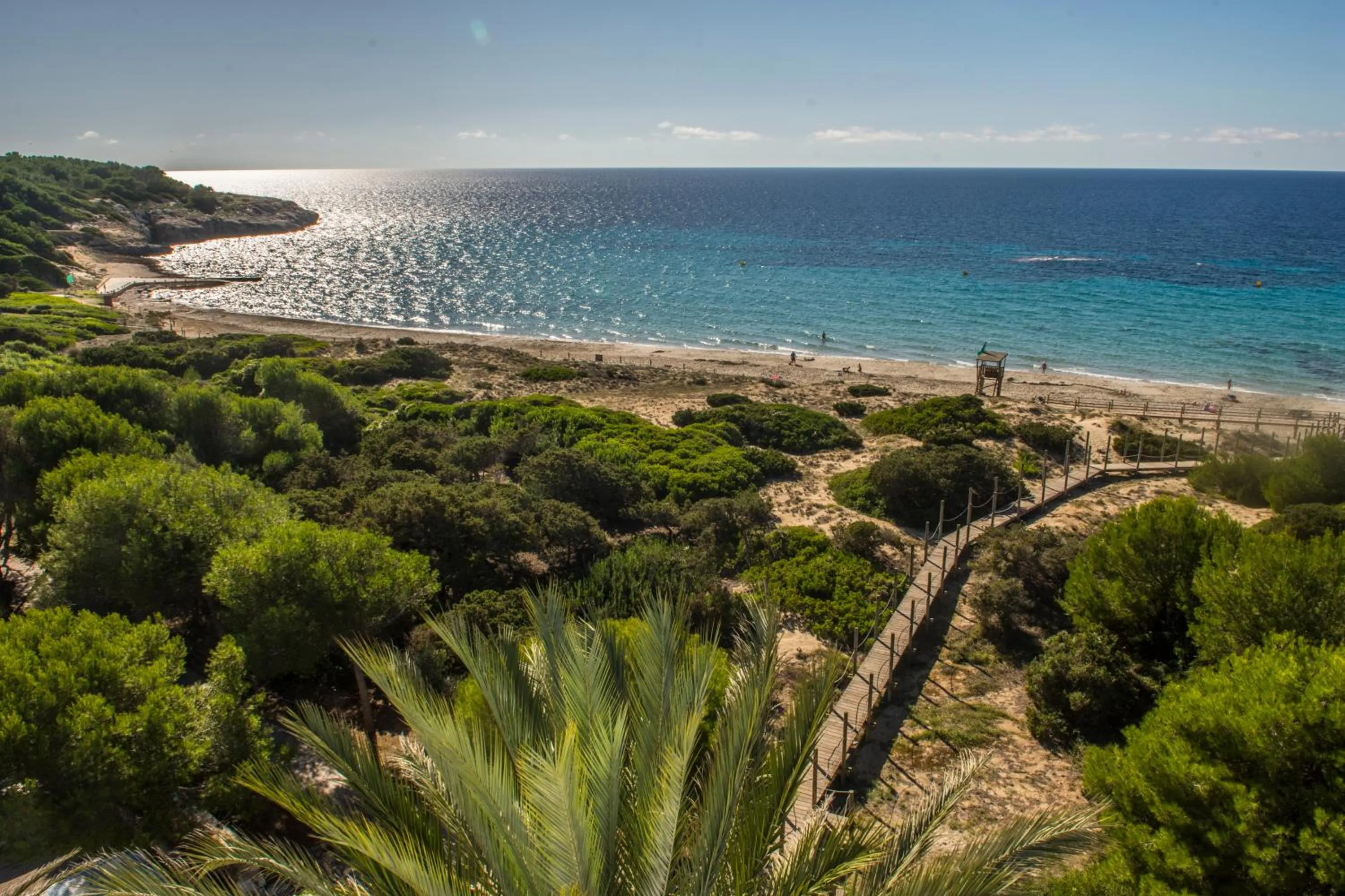 Natural landscape in Hamilton Court