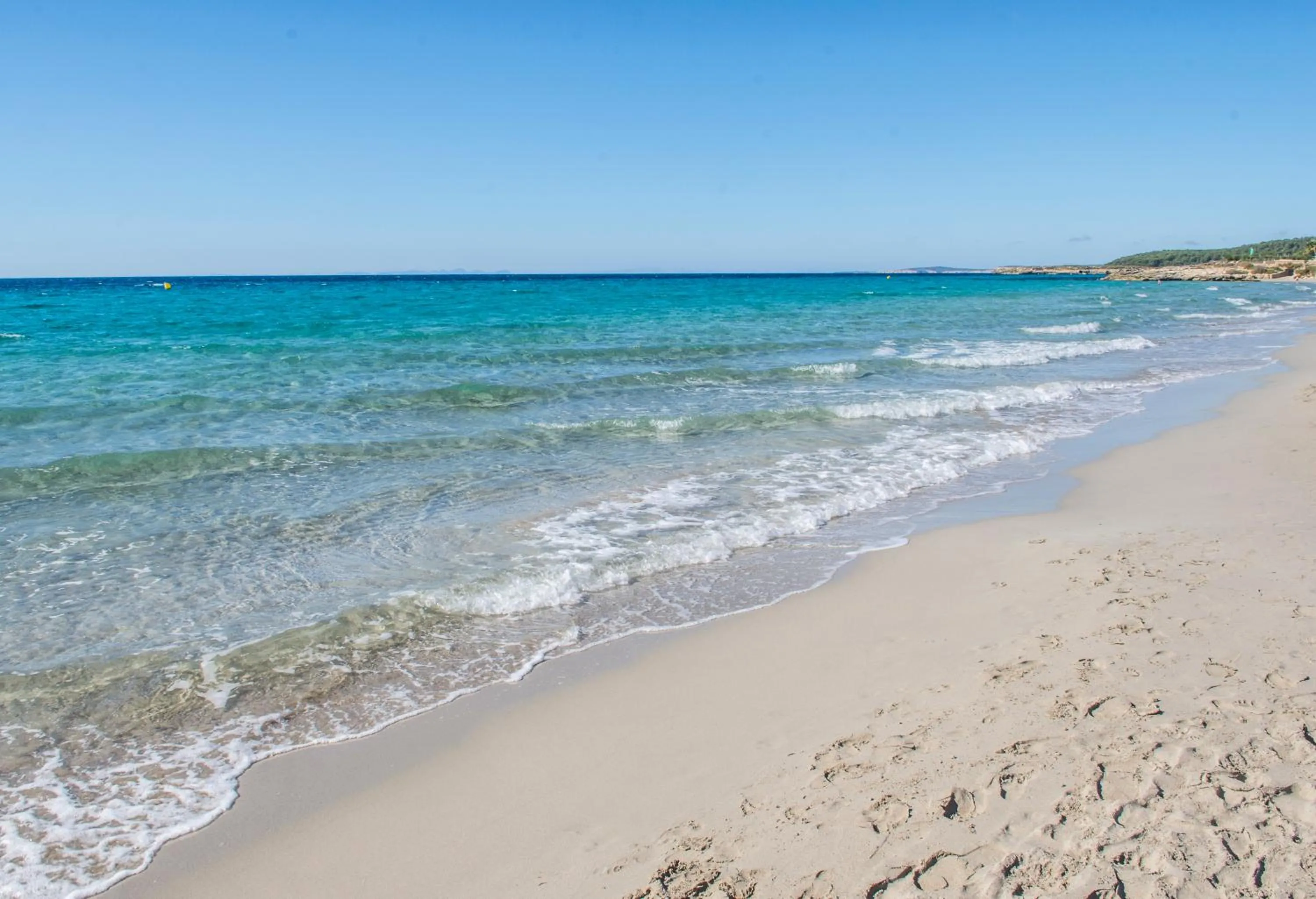 Natural landscape in Hamilton Court