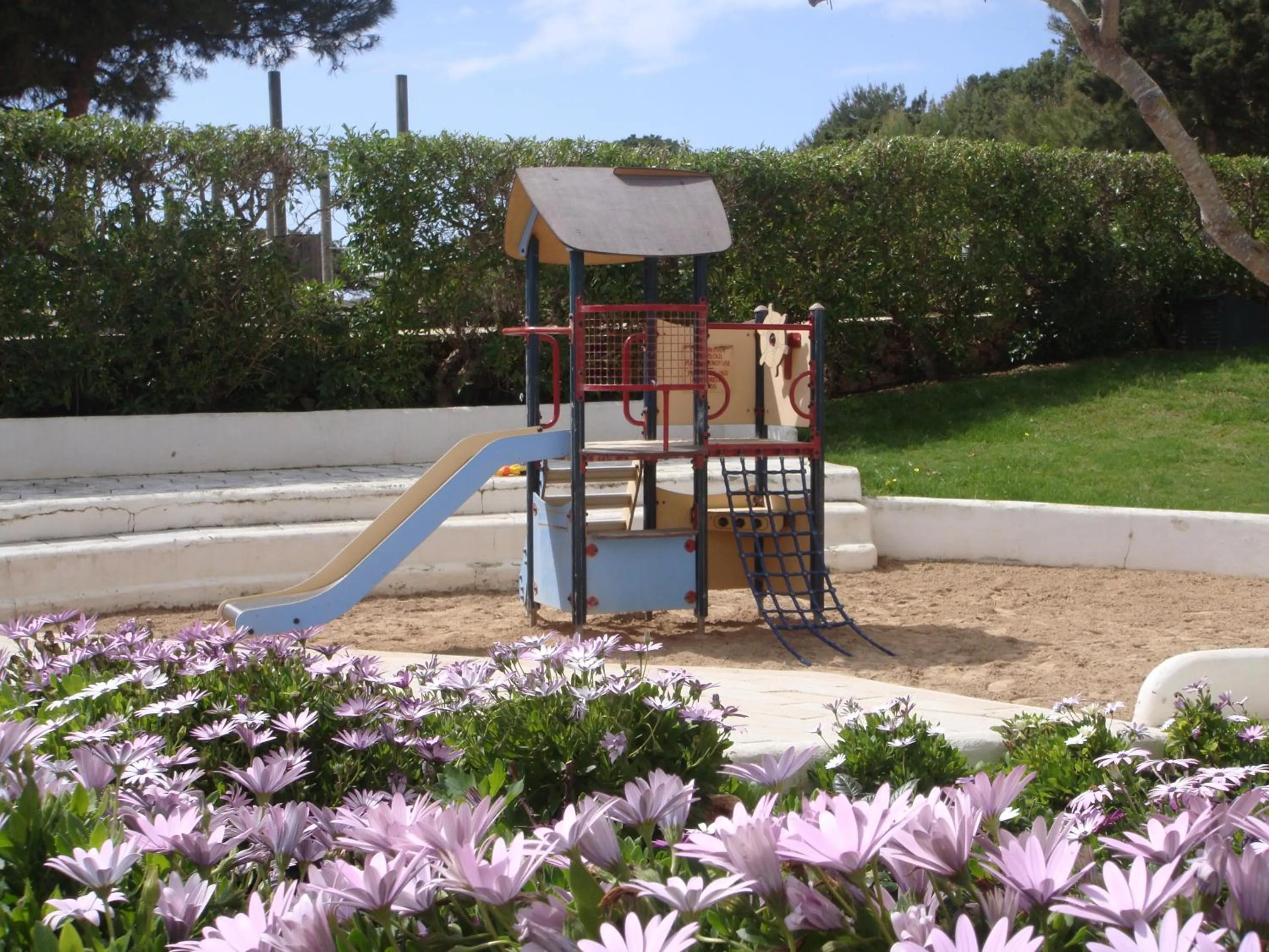 Day in Hamilton Court