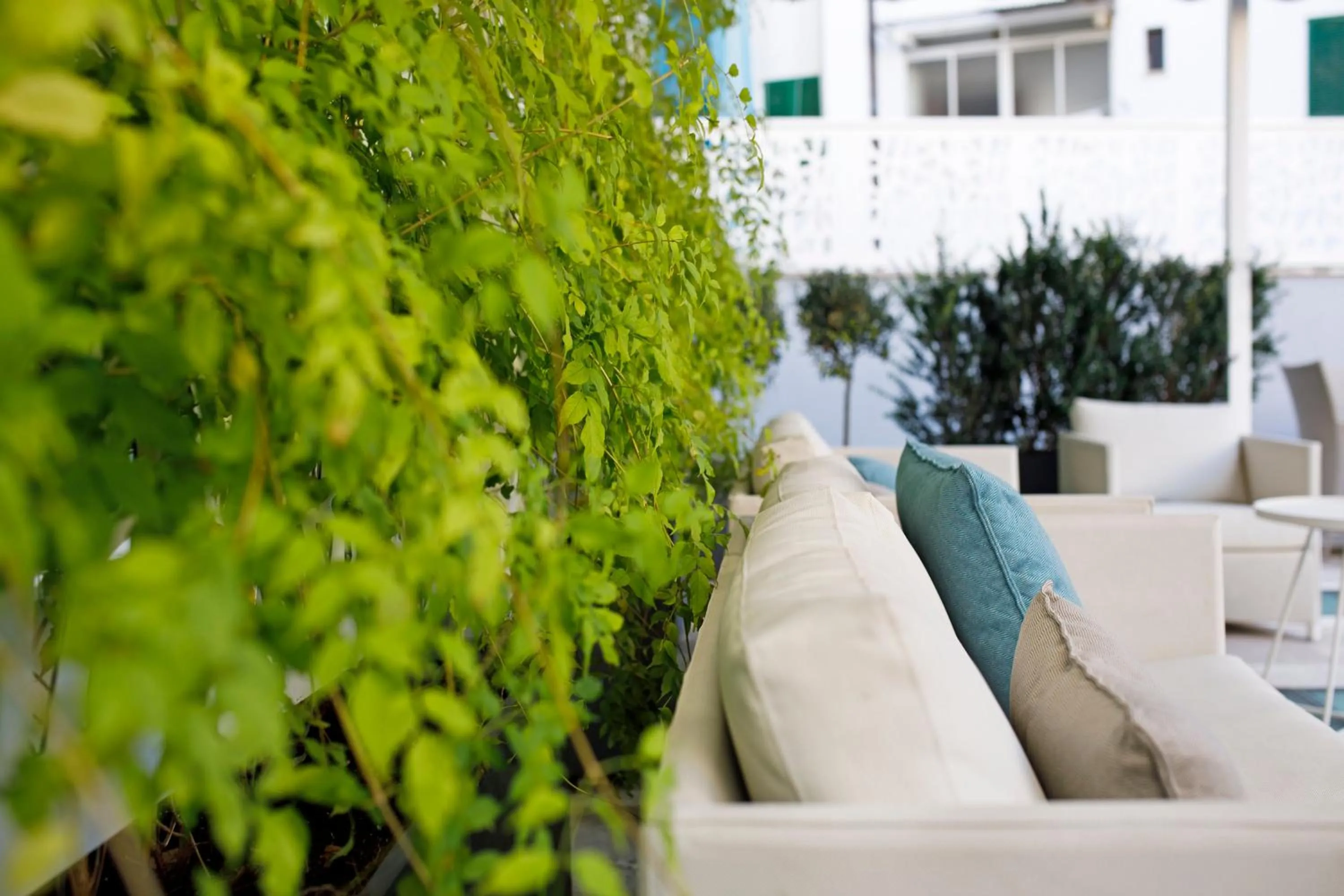 Balcony/Terrace in Hotel Palladium