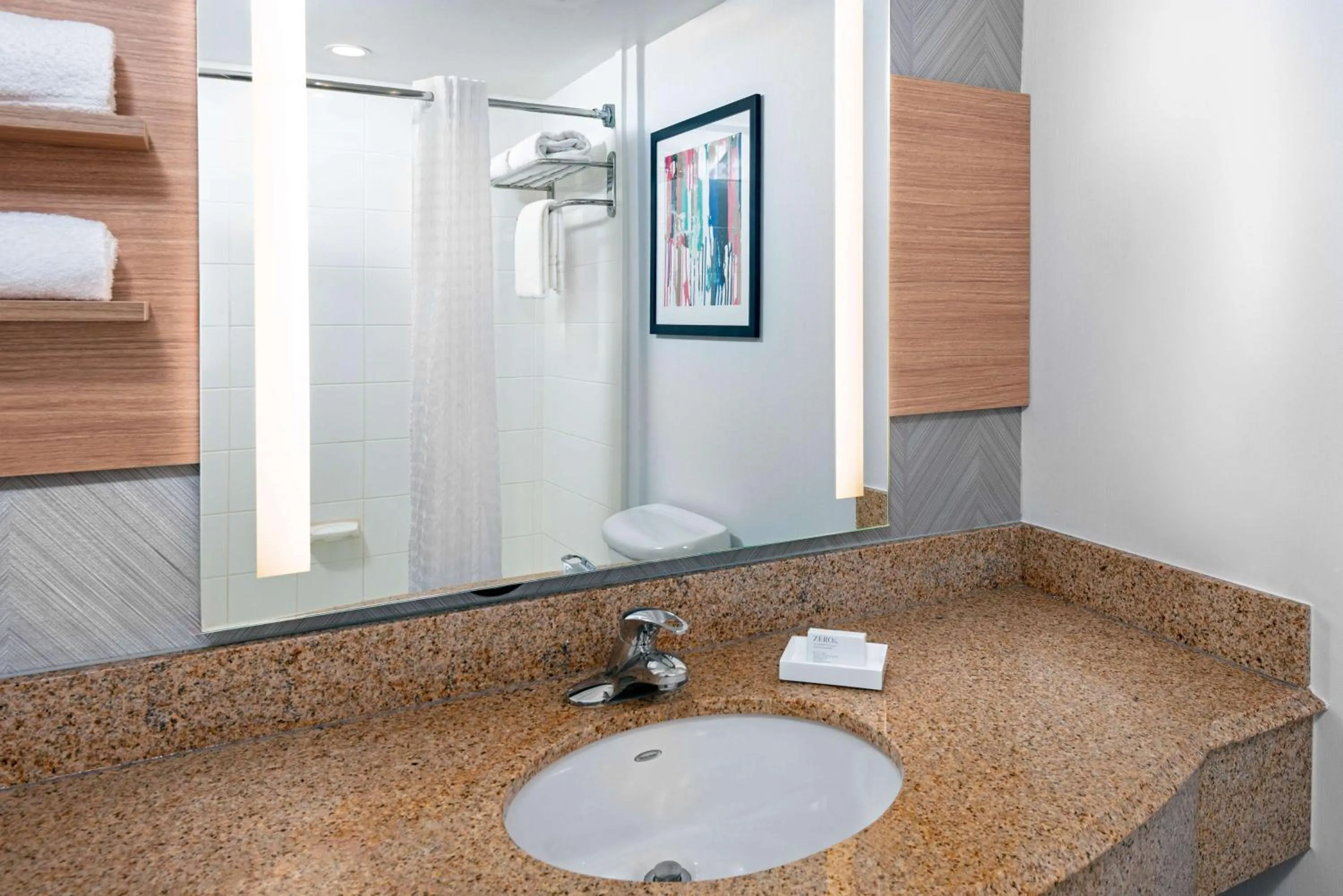 Bathroom in Hilton Garden Inn Tampa Airport/Westshore