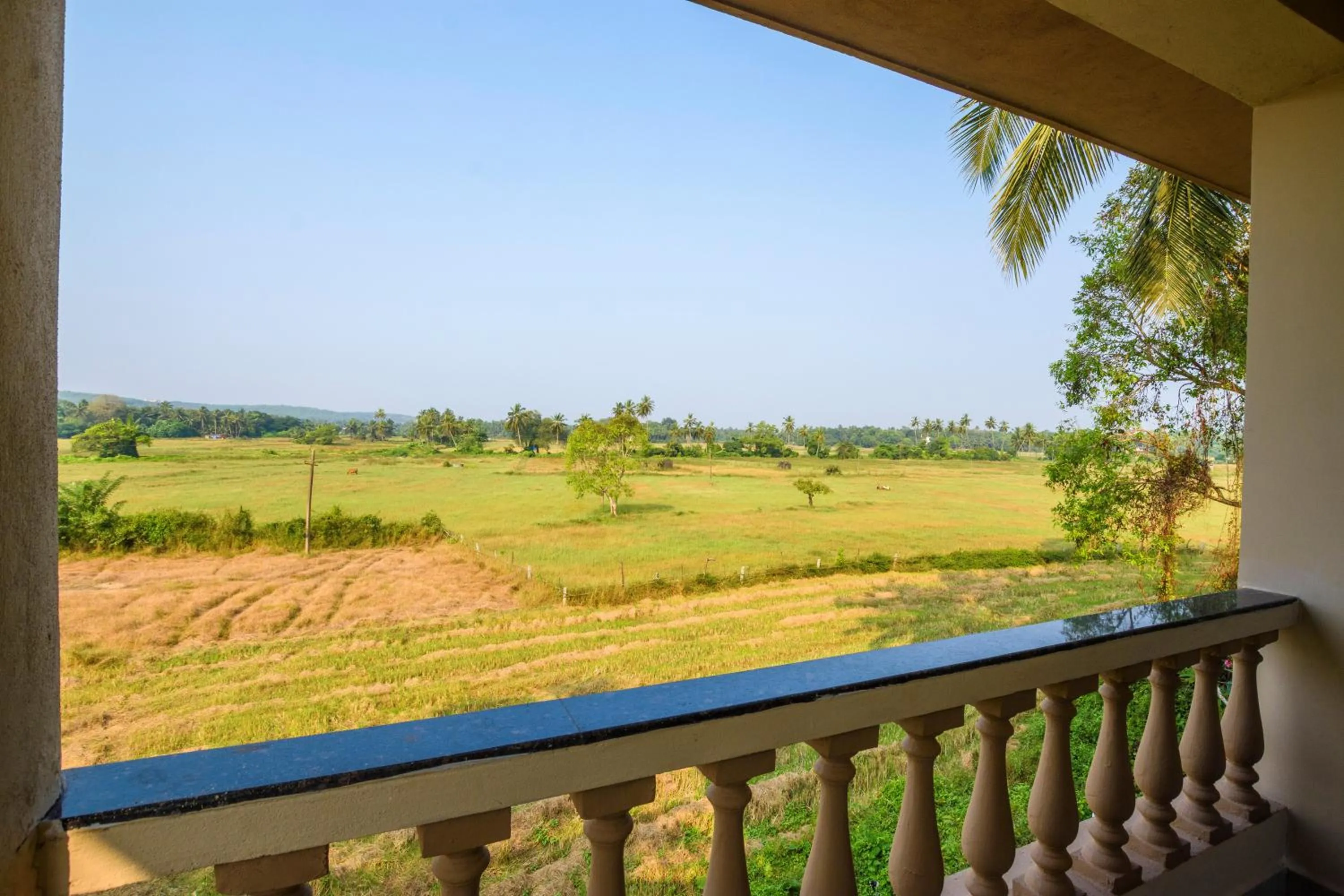 Casa Da Village Calangute Goa