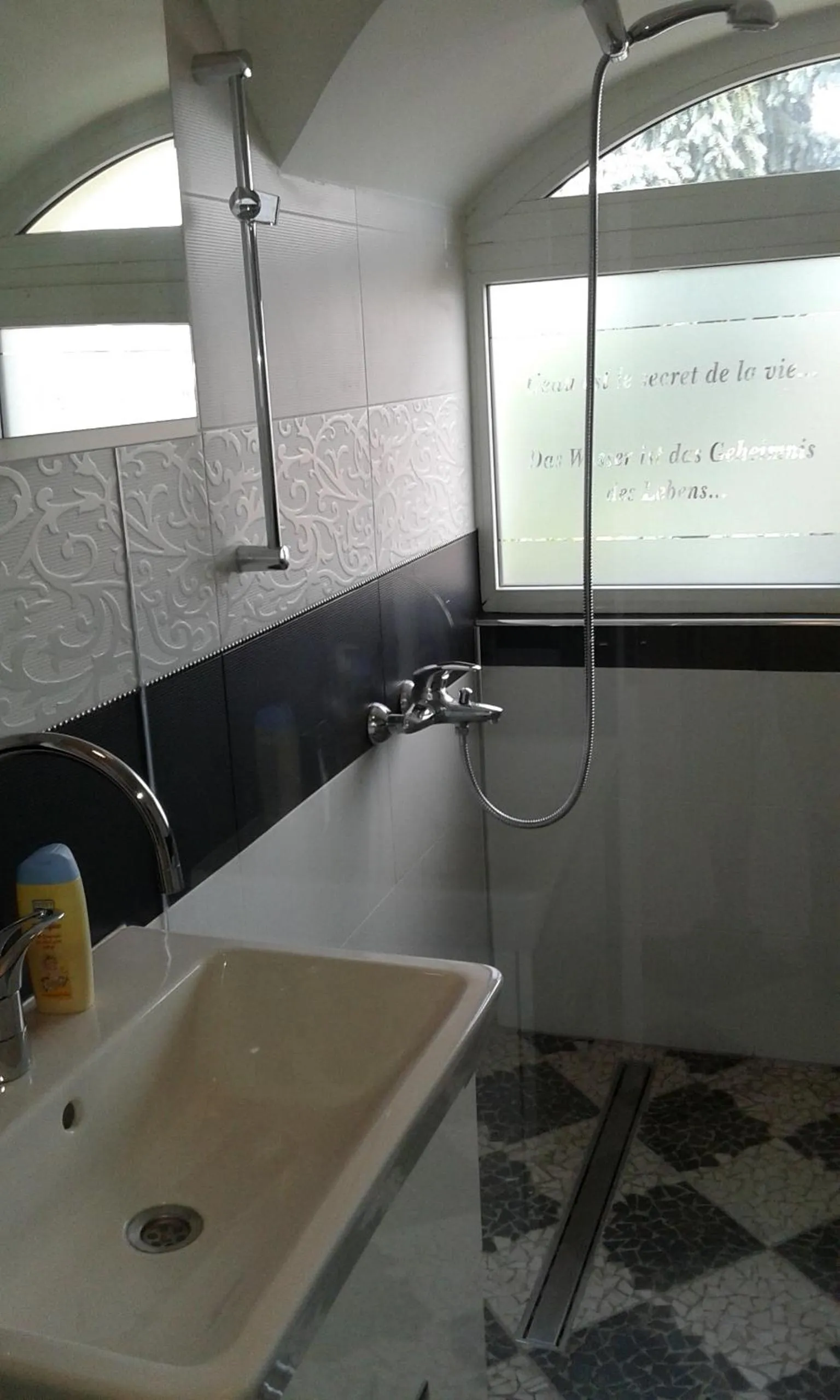 Shower in Apartment Sagittarius