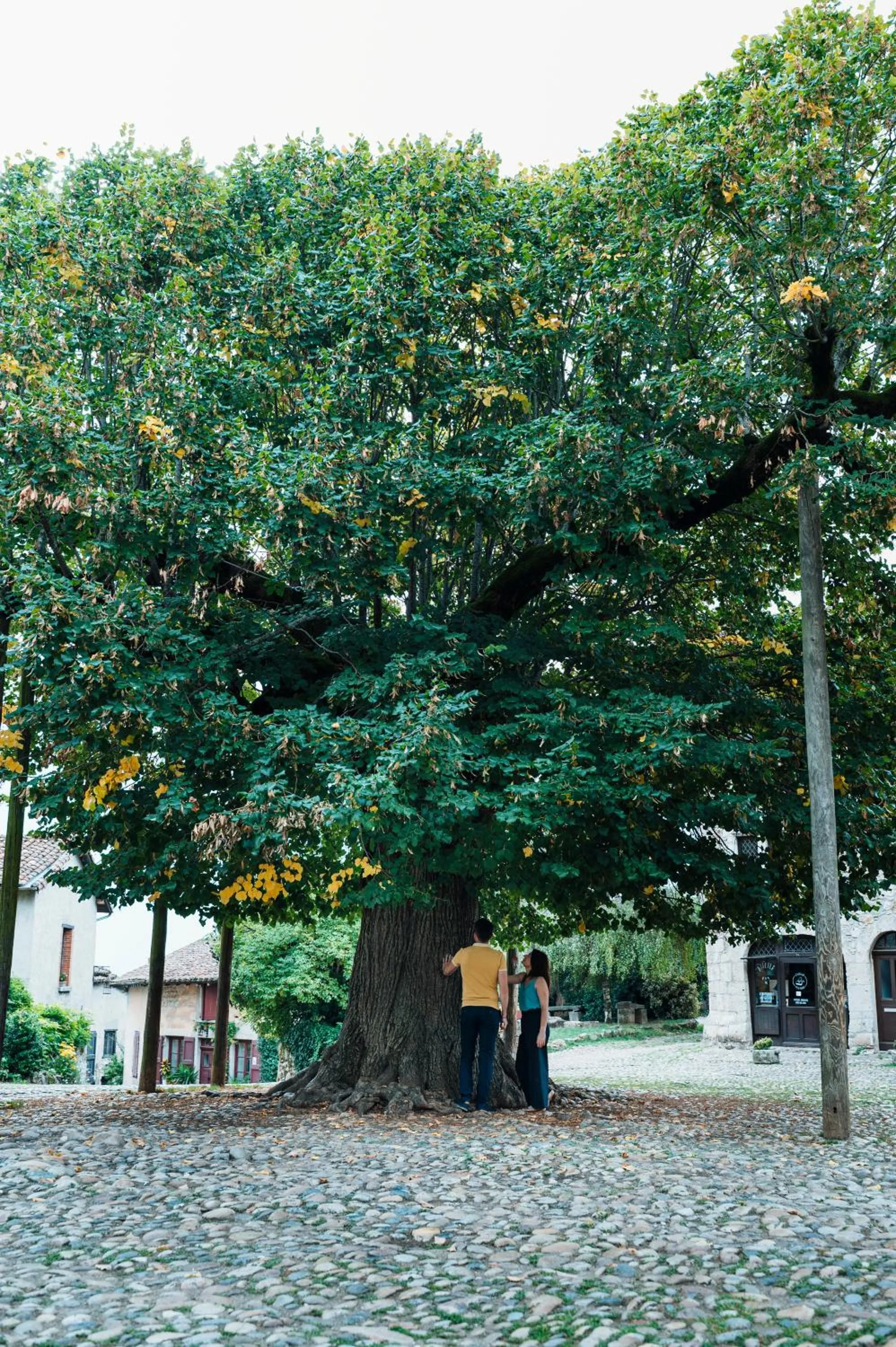 Spring in Hostellerie du Vieux Pérouges