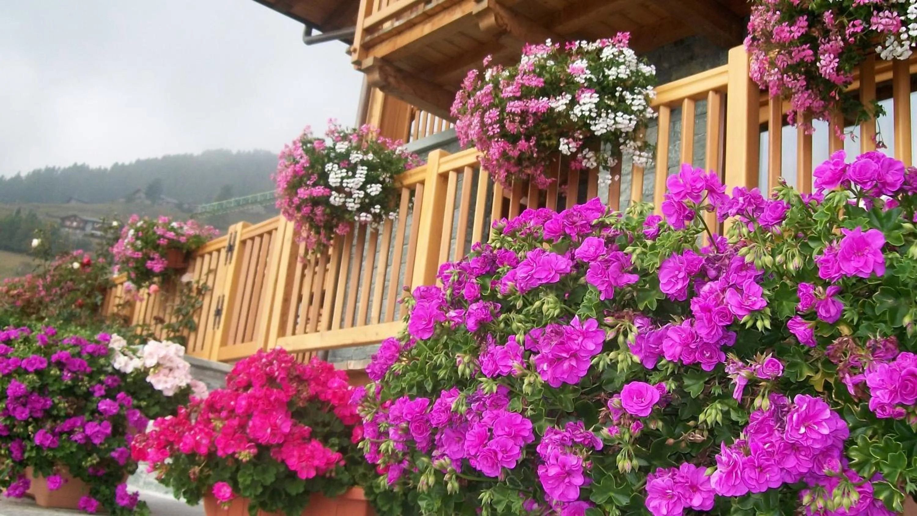 Garden in Gresil Residence