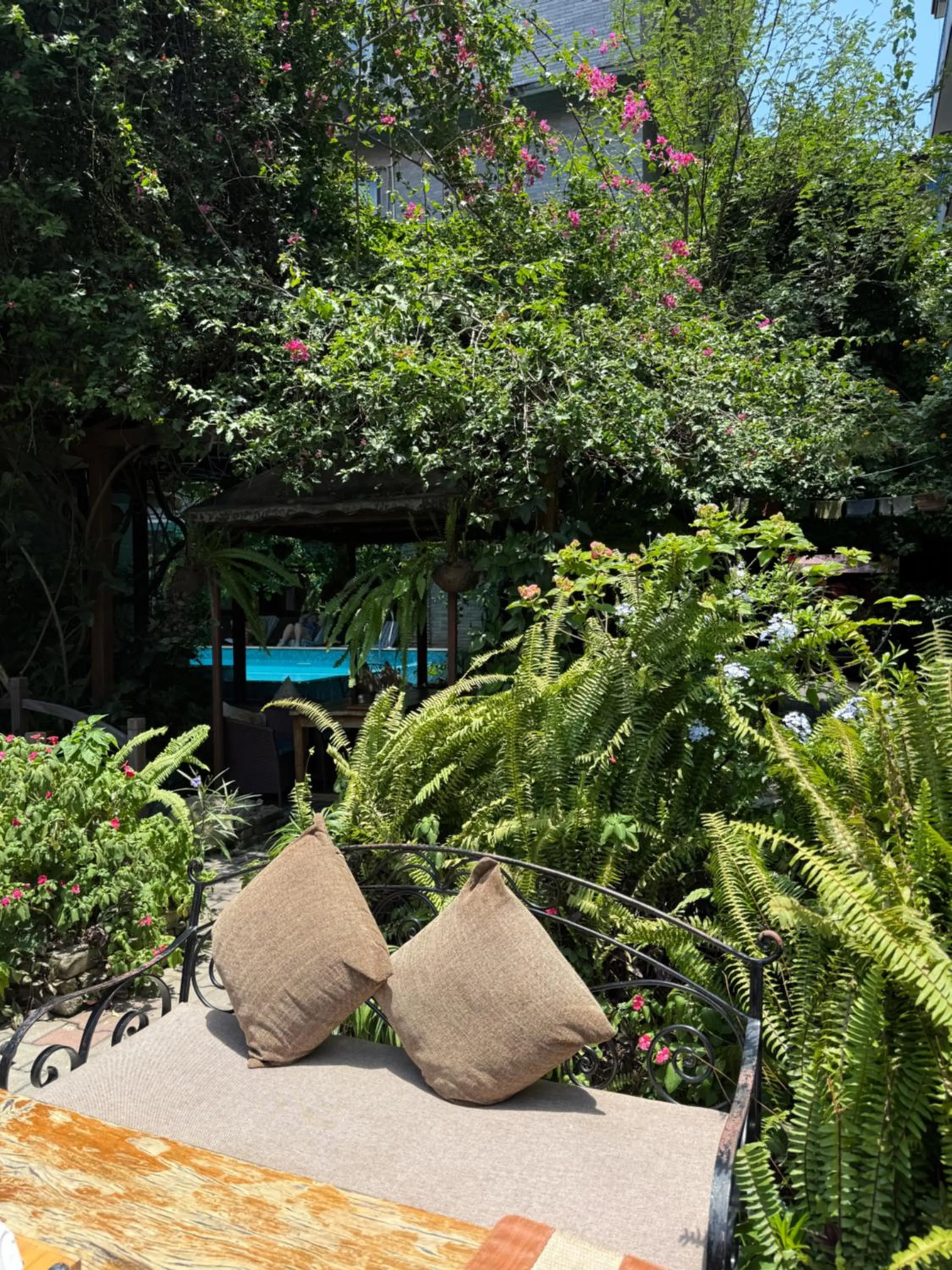 Garden in Hotel Middle Path & Spa