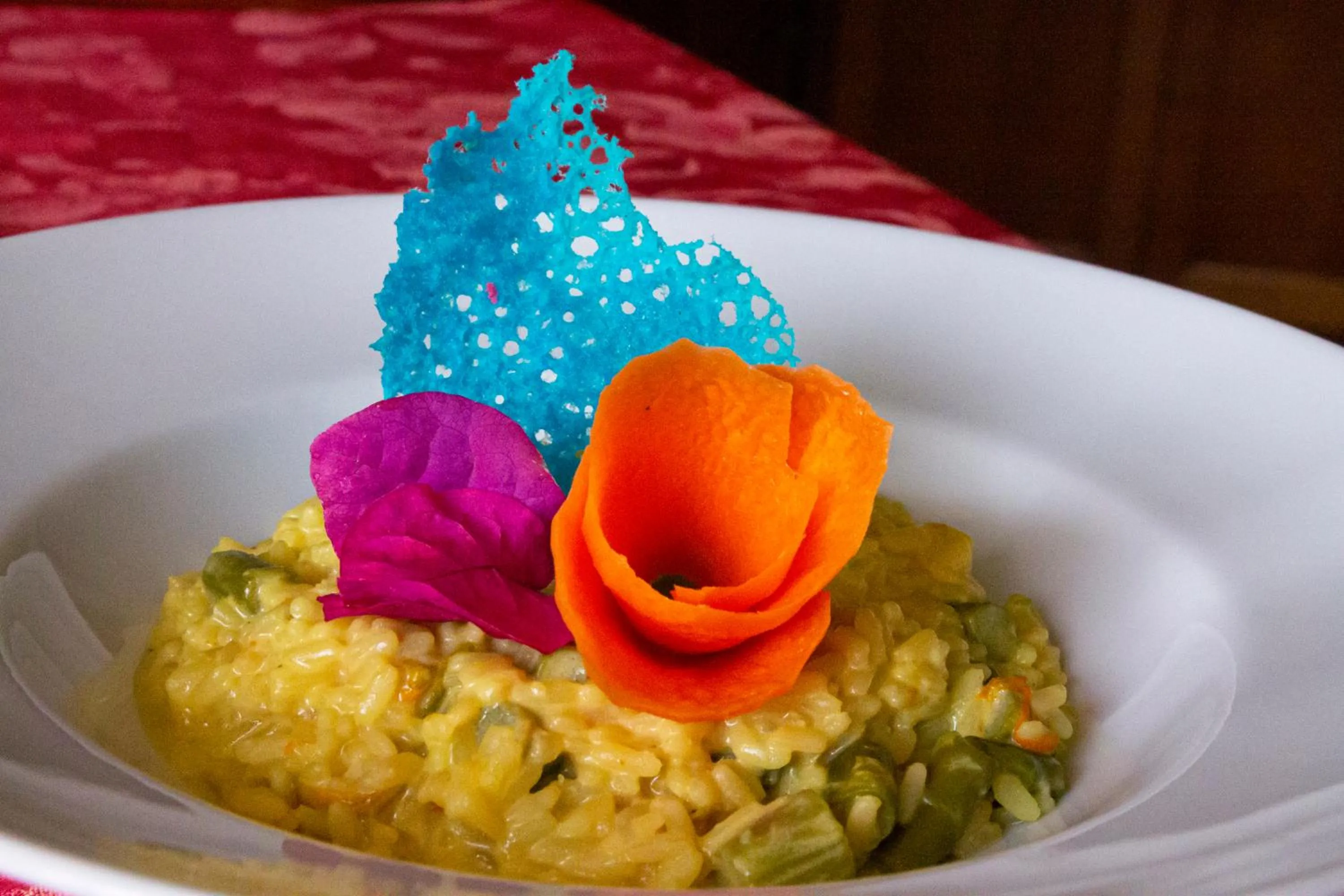 Restaurant/places to eat in Hotel L'Ancora