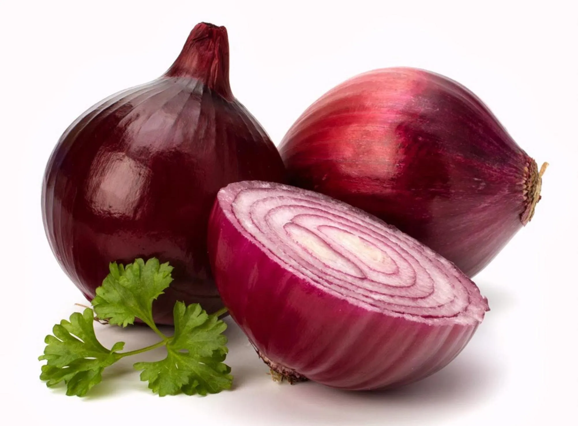 Decorative detail in Hotel L'Ancora