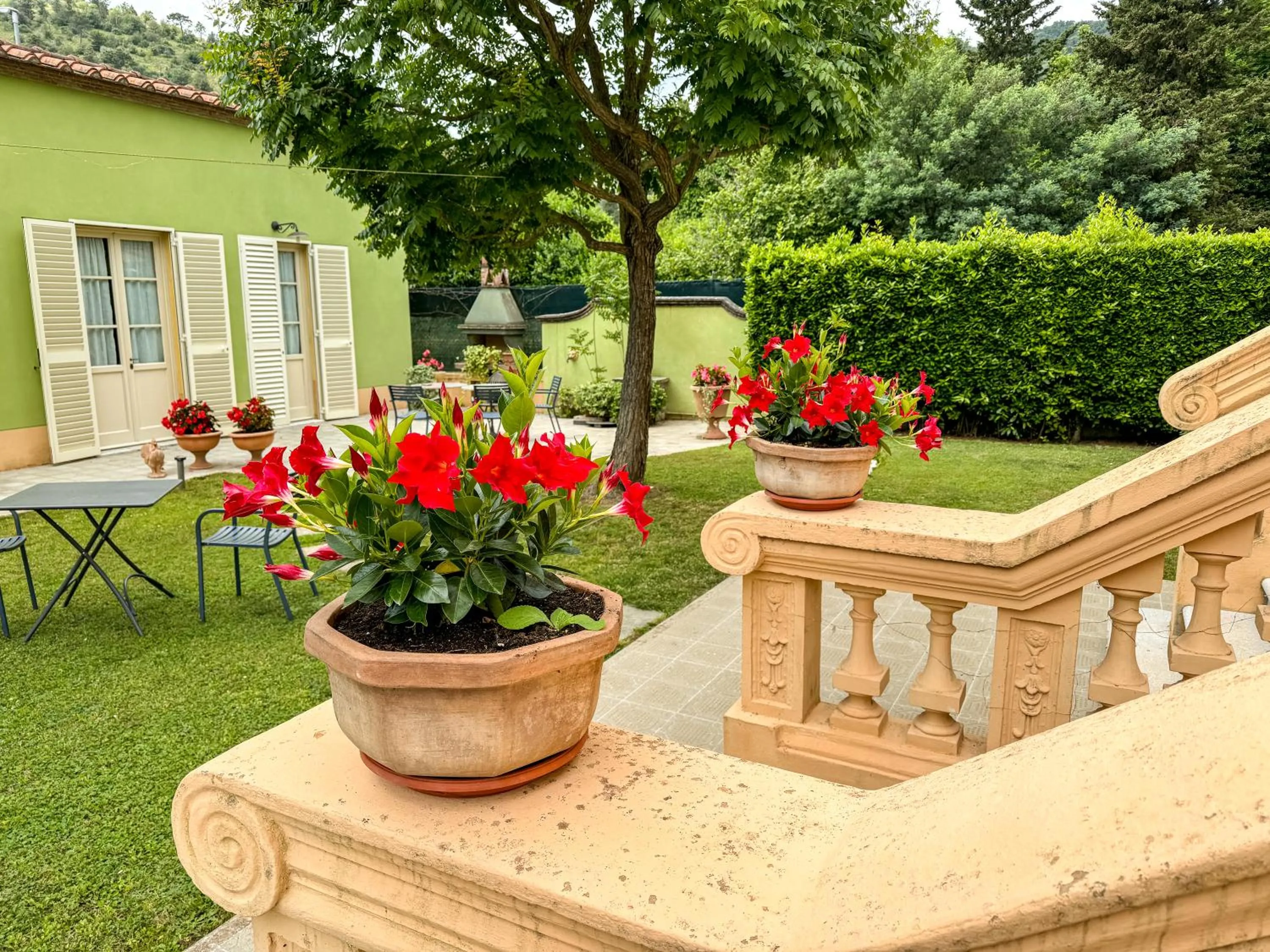 Garden in Marta Guest House