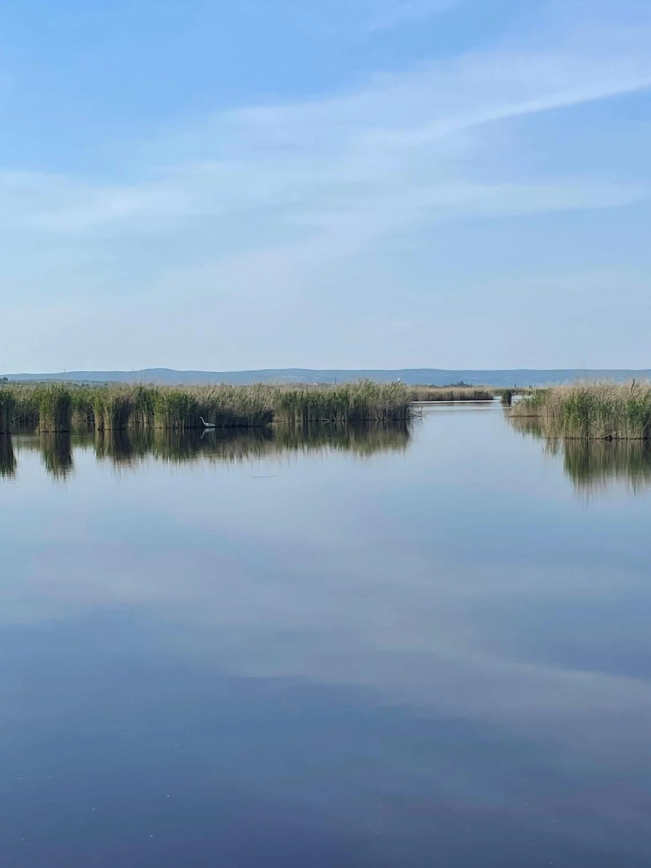 Off site in Haus Martin - Schneeberger