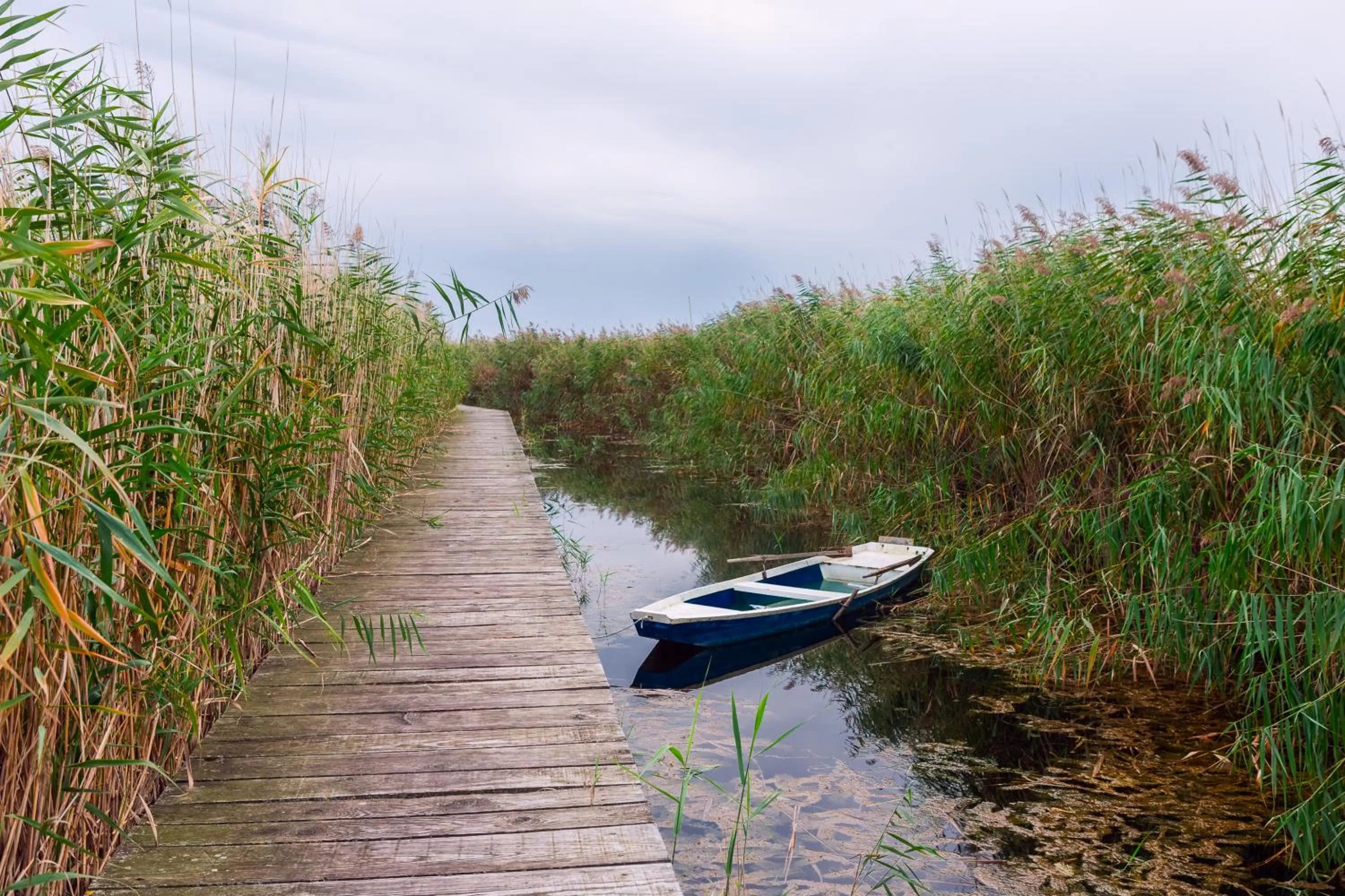 Staff in Haus Martin - Schneeberger