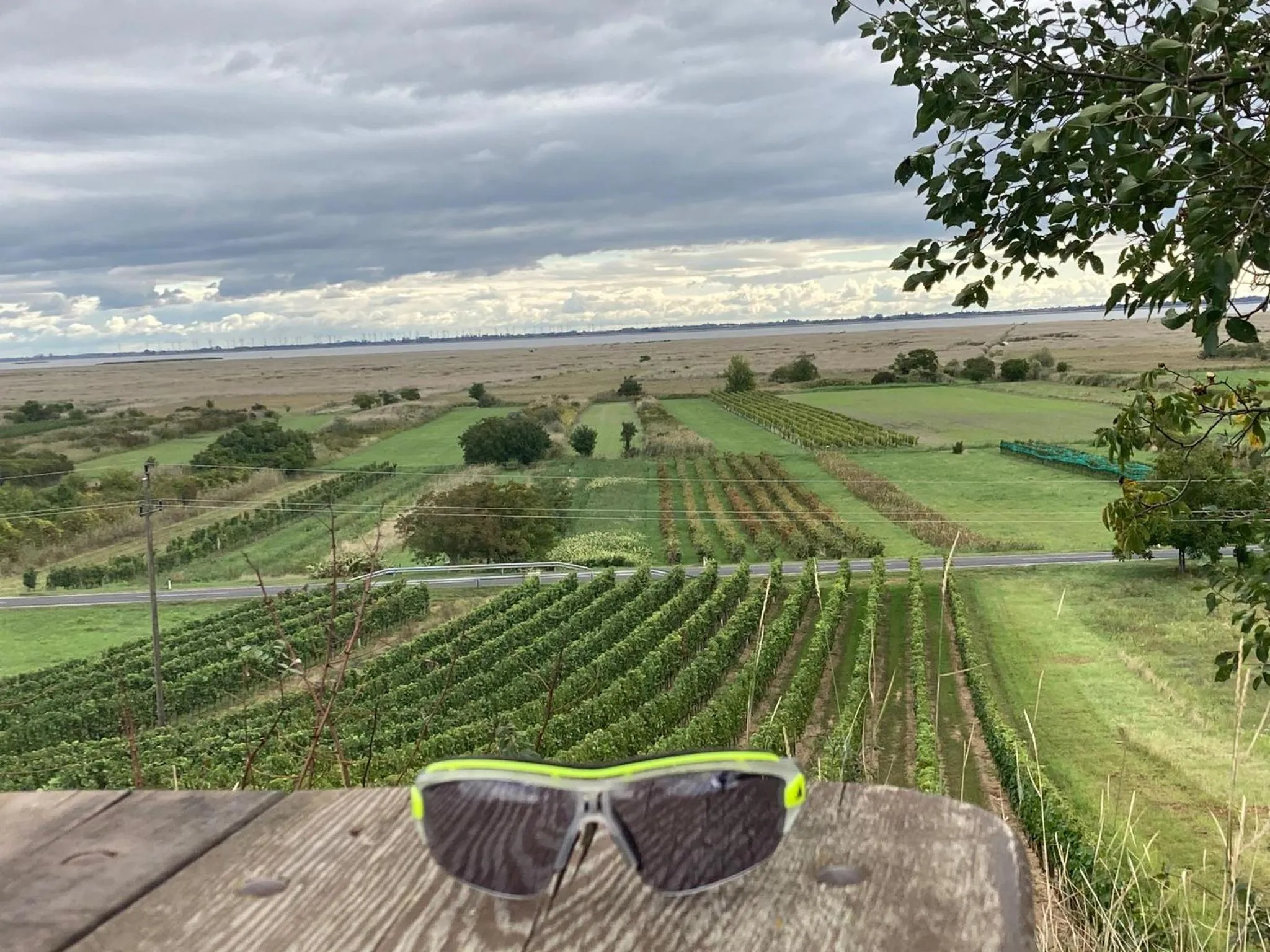 Natural landscape in Haus Martin - Schneeberger