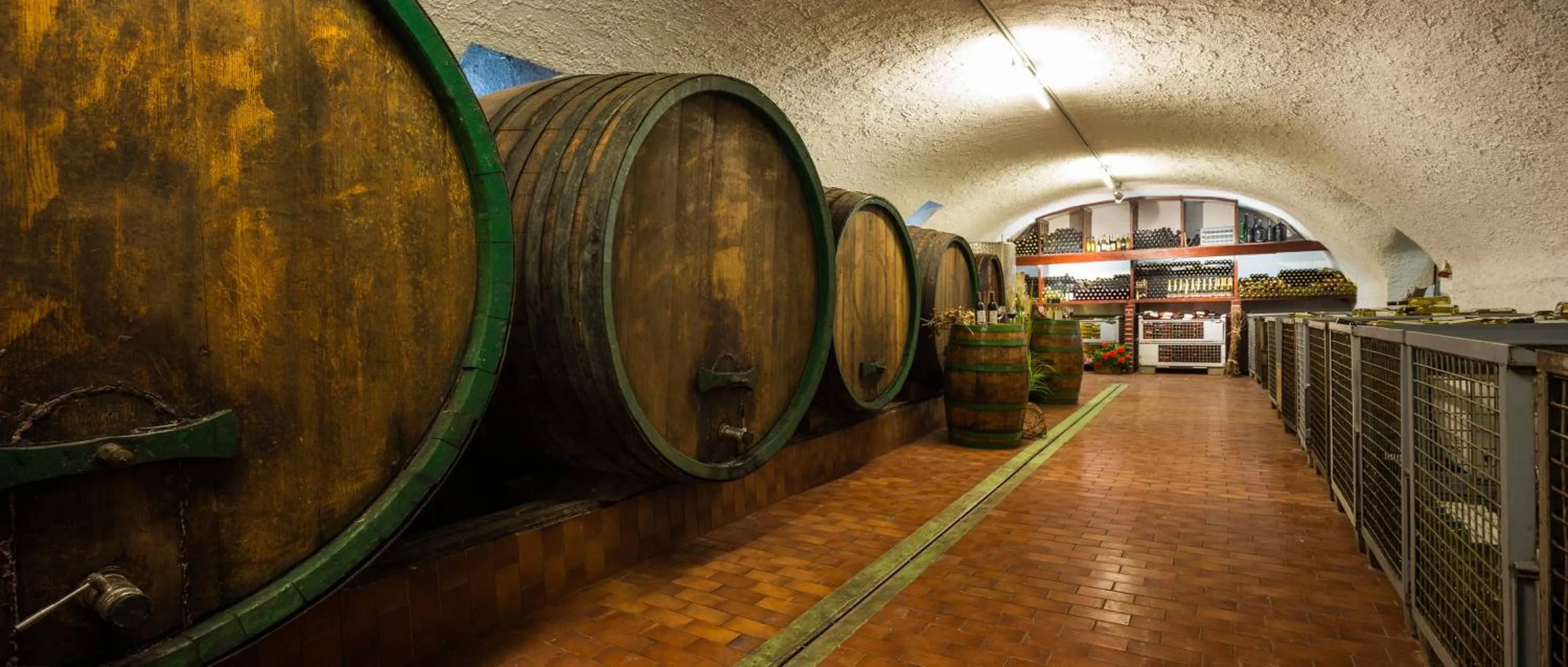 Area and facilities in Haus Martin - Schneeberger