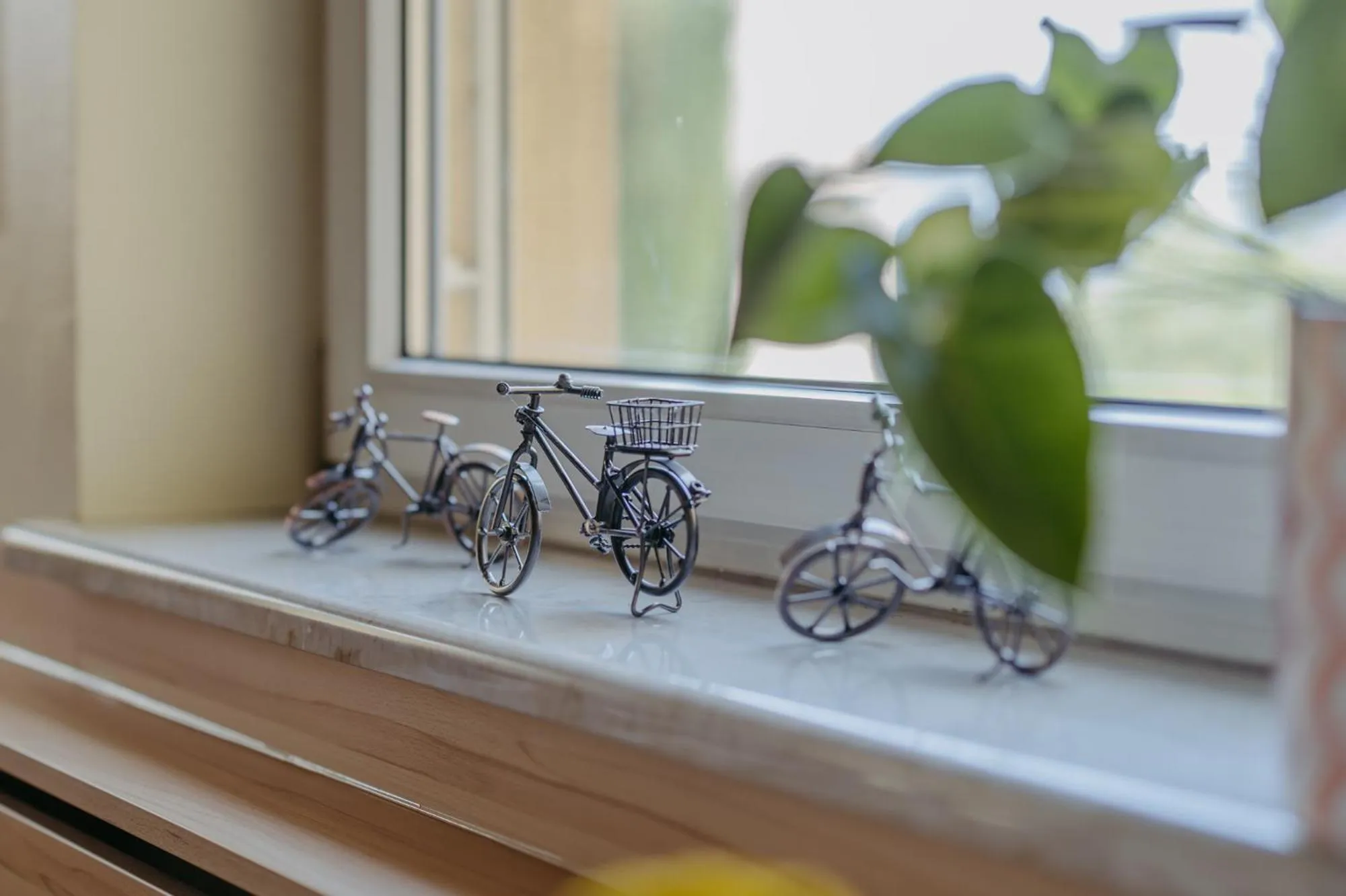 Cycling in Haus Martin - Schneeberger