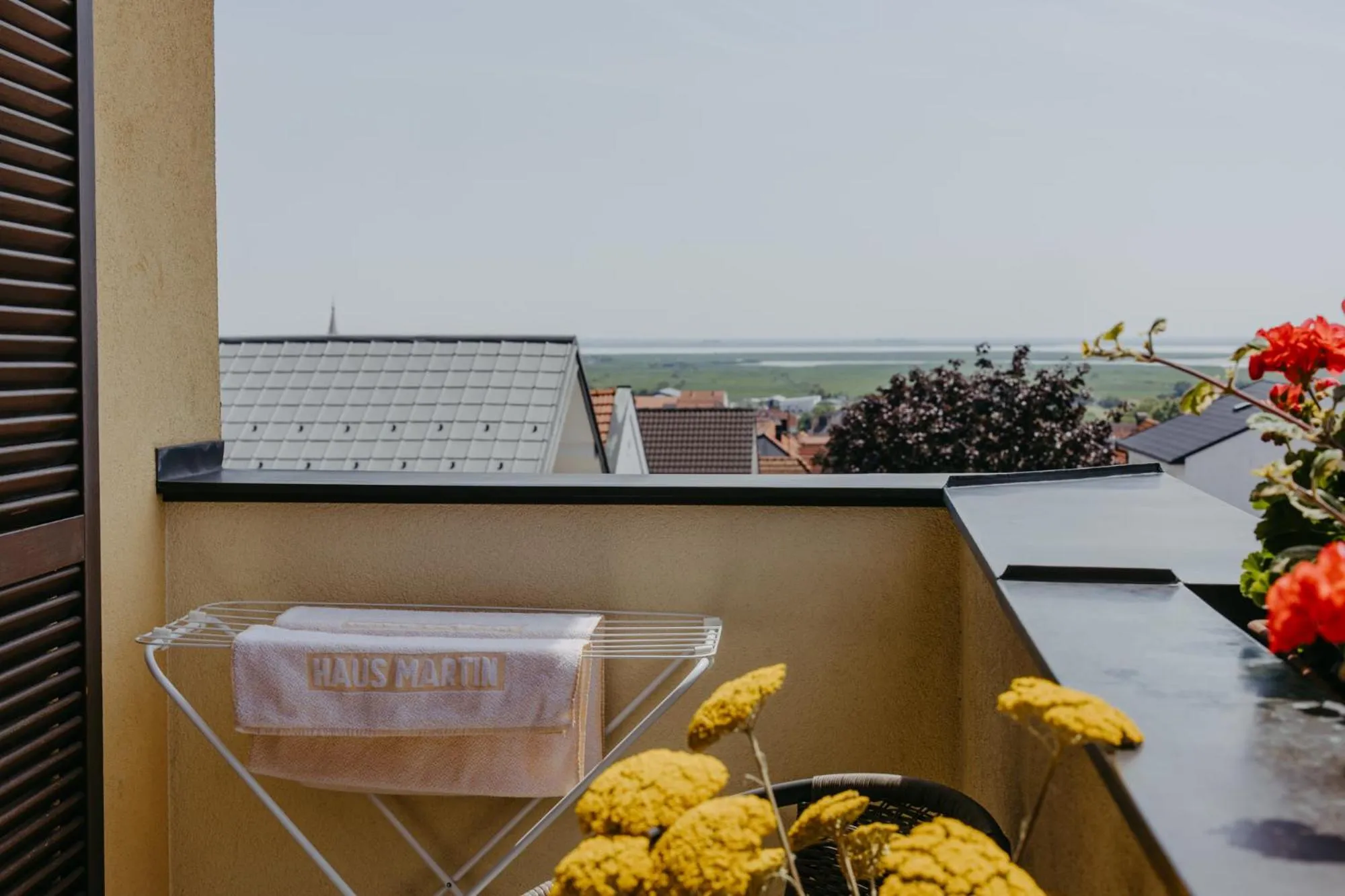 View (from property/room) in Haus Martin - Schneeberger