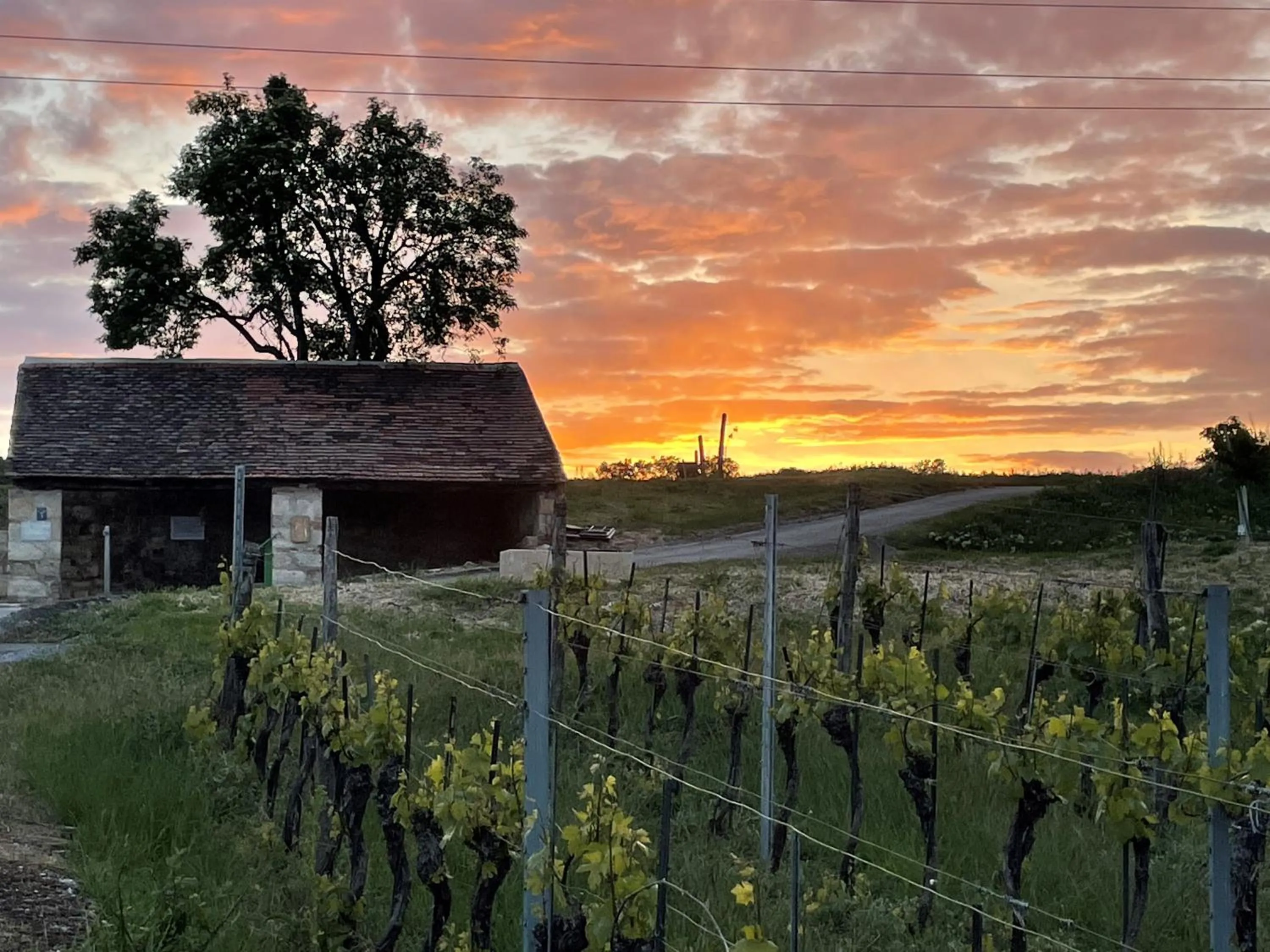 Spring in Haus Martin - Schneeberger