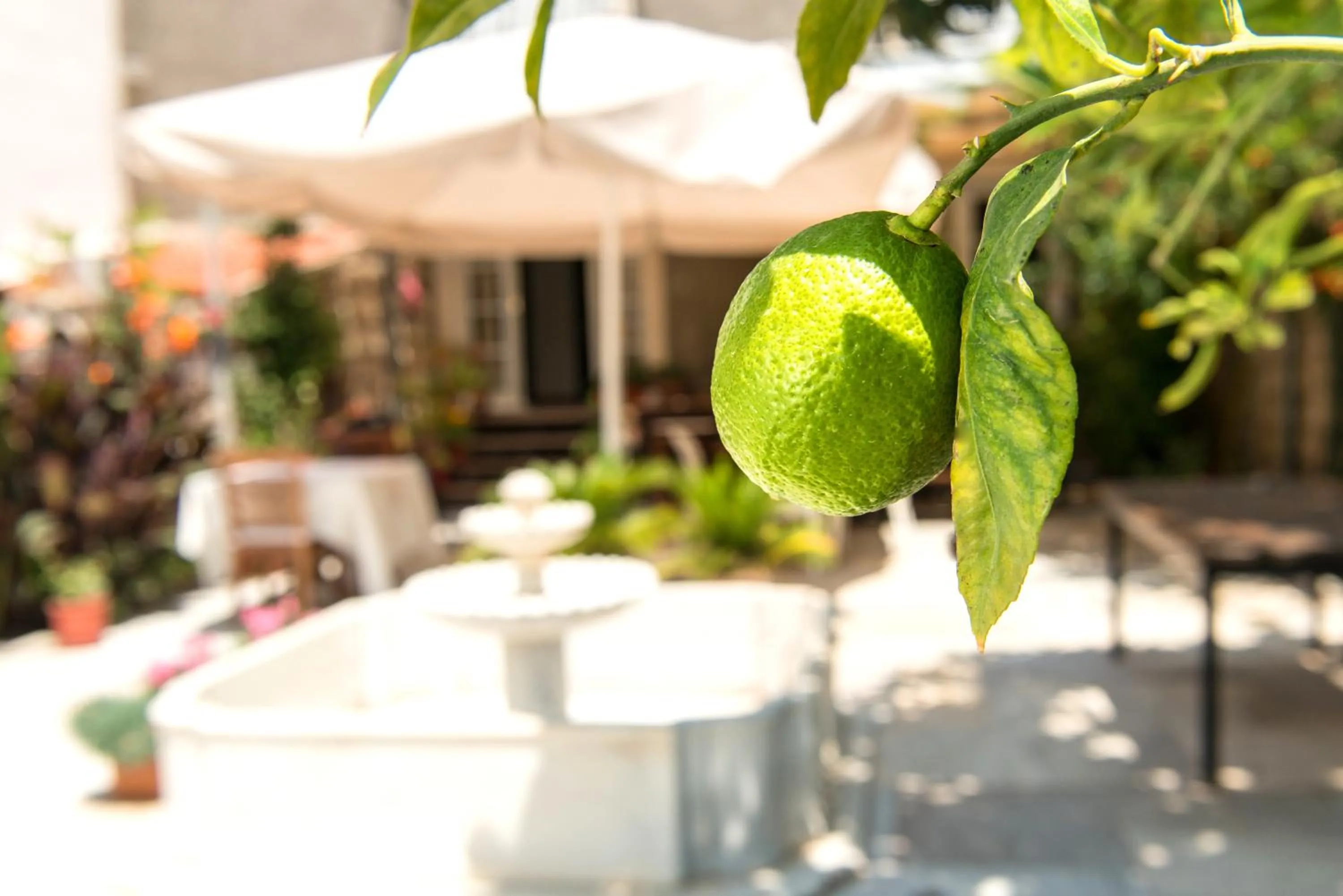 Decorative detail in Alacati Kostem Hotel - Special Category