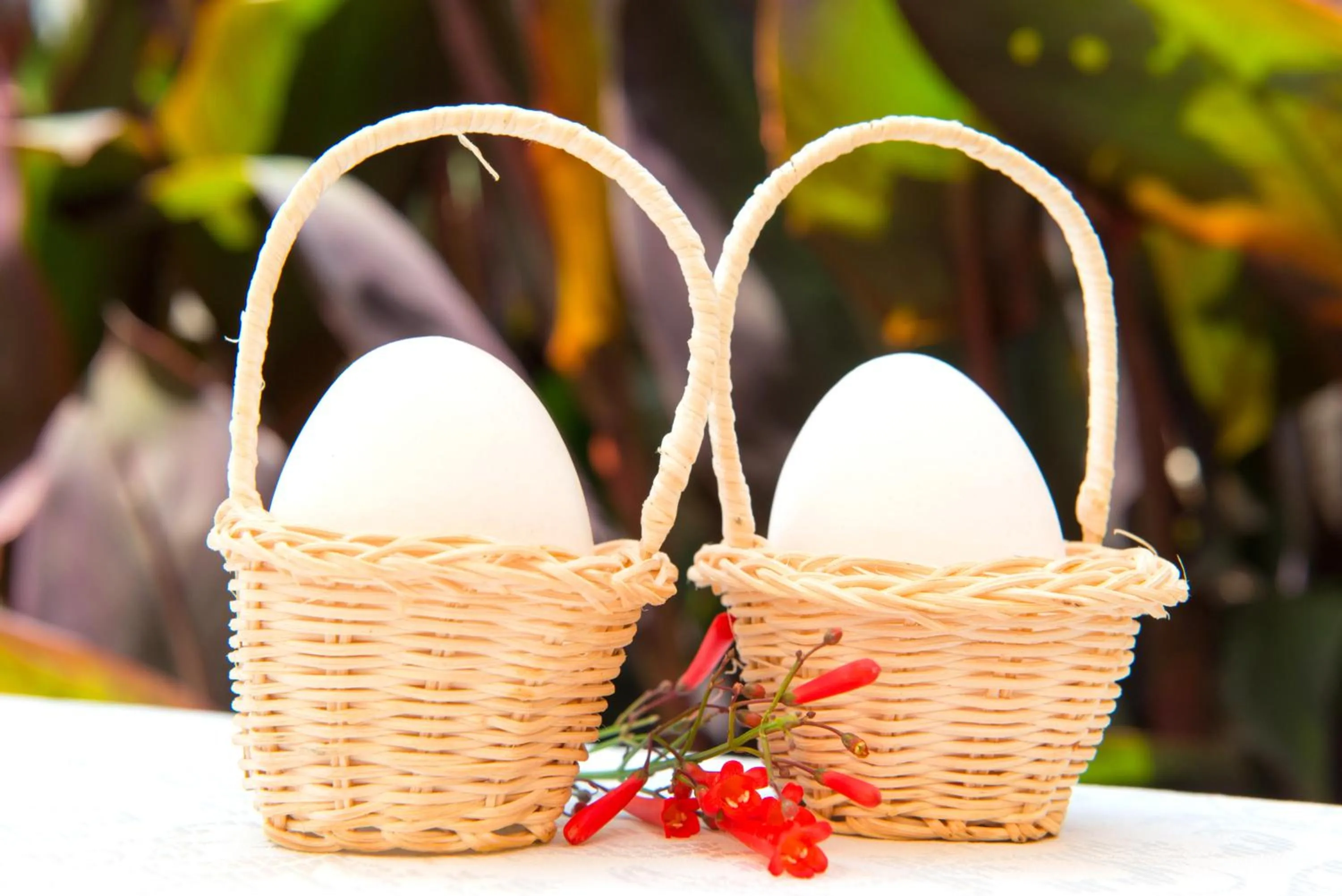 Food and drinks in Alacati Kostem Hotel - Special Category