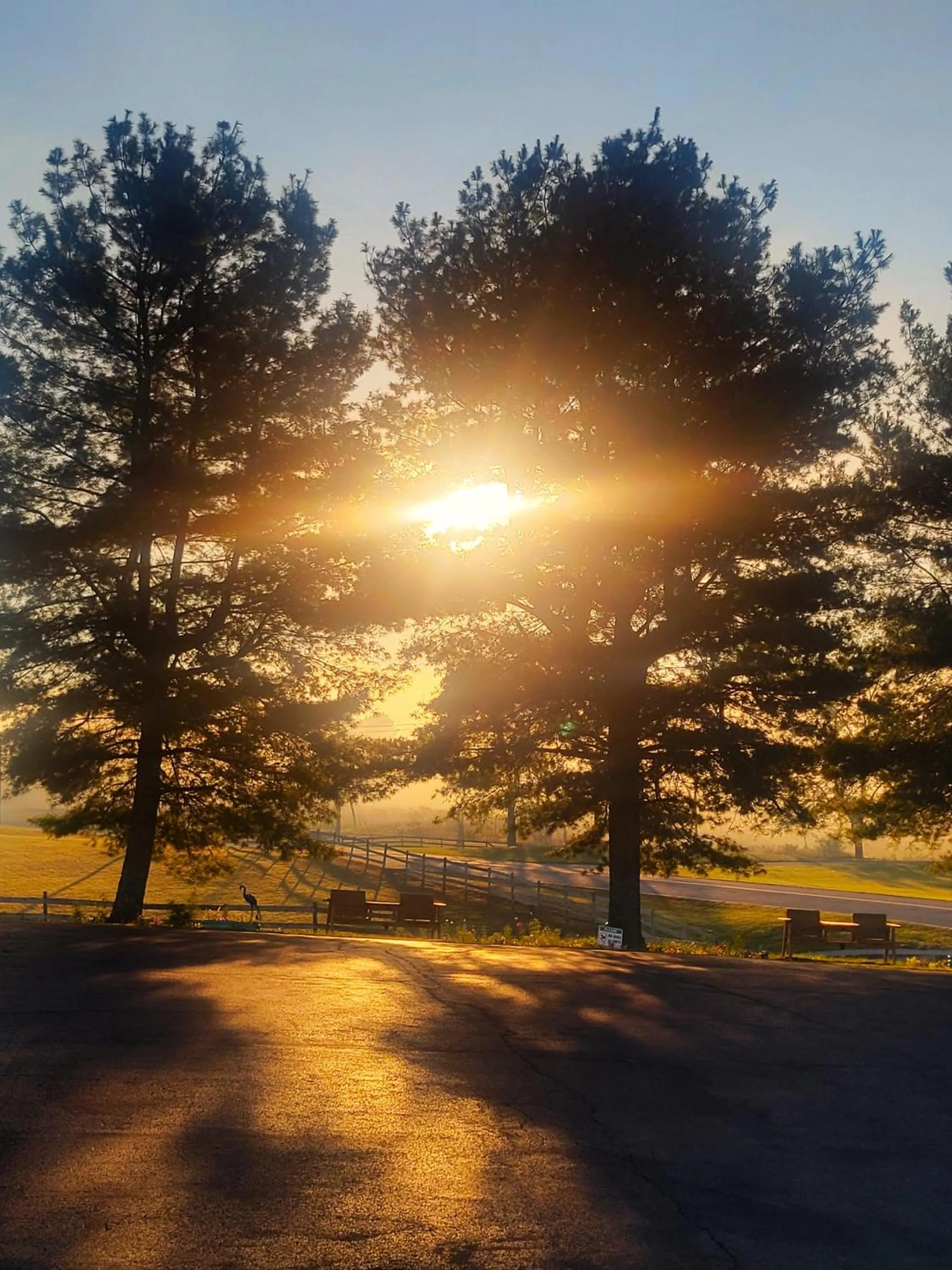 View (from property/room) in Fox Mountain Inn