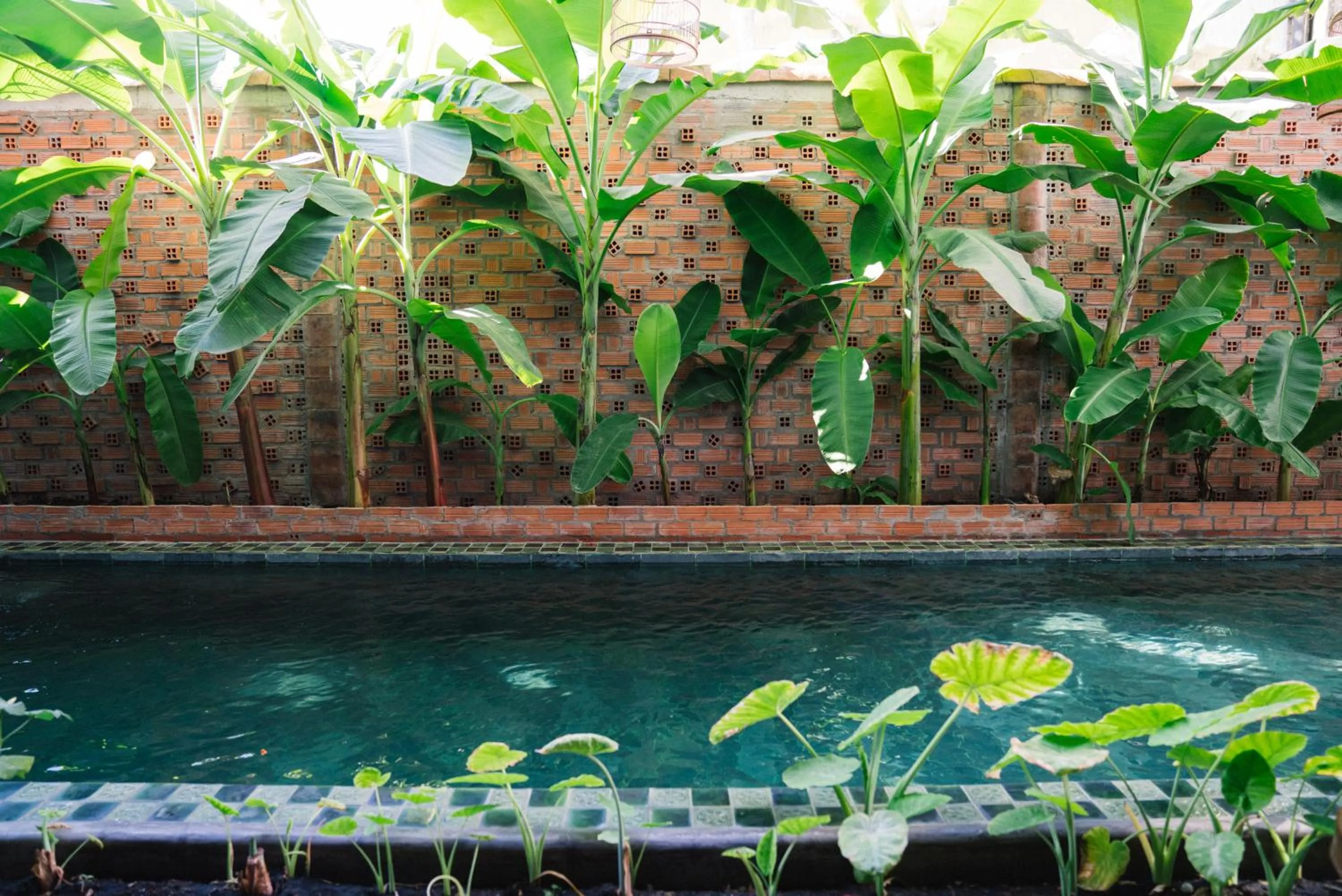 Garden in IAM SAIGON Homestay