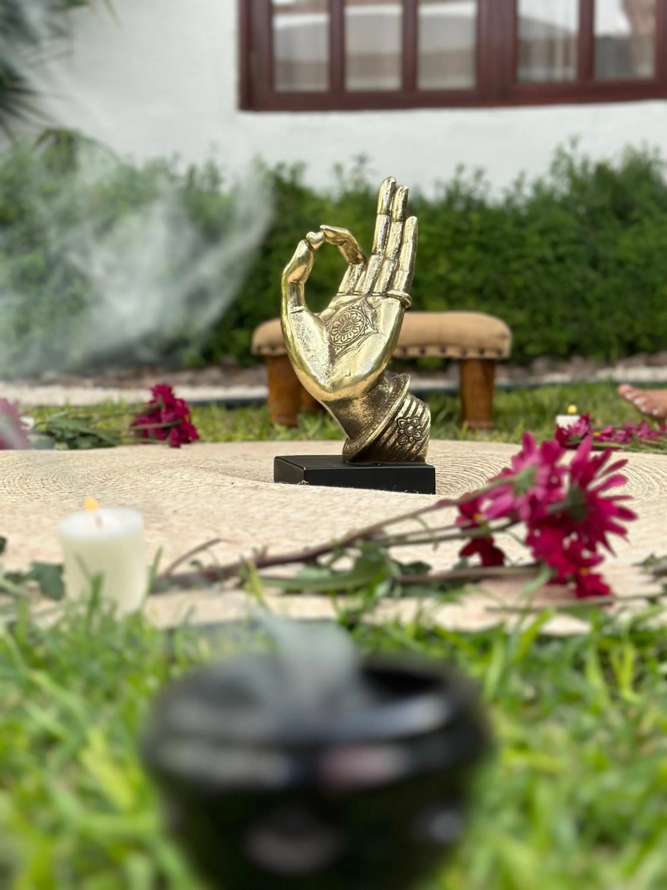 Garden in Dos Patios Querétaro Curamoria Collection