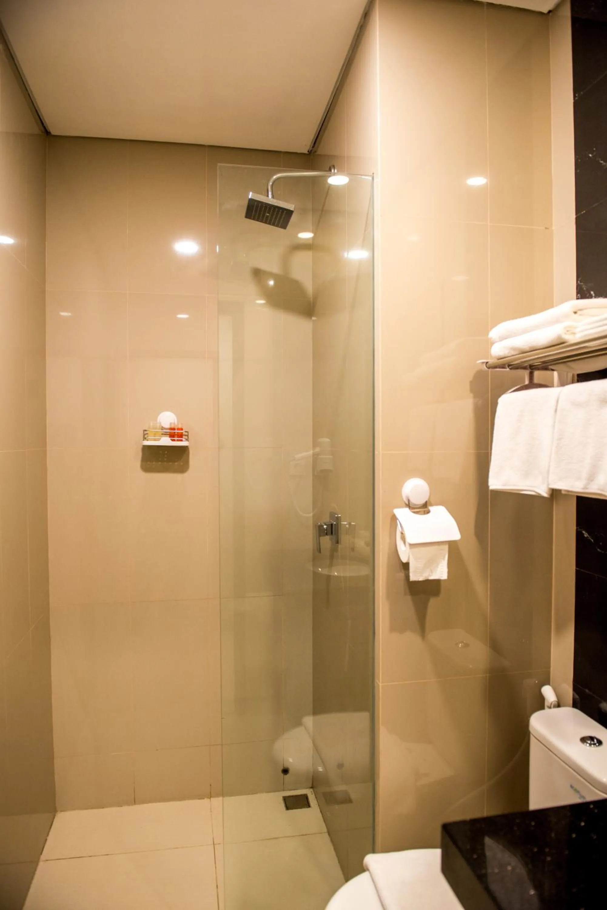 Shower in Grand Padis Hotel