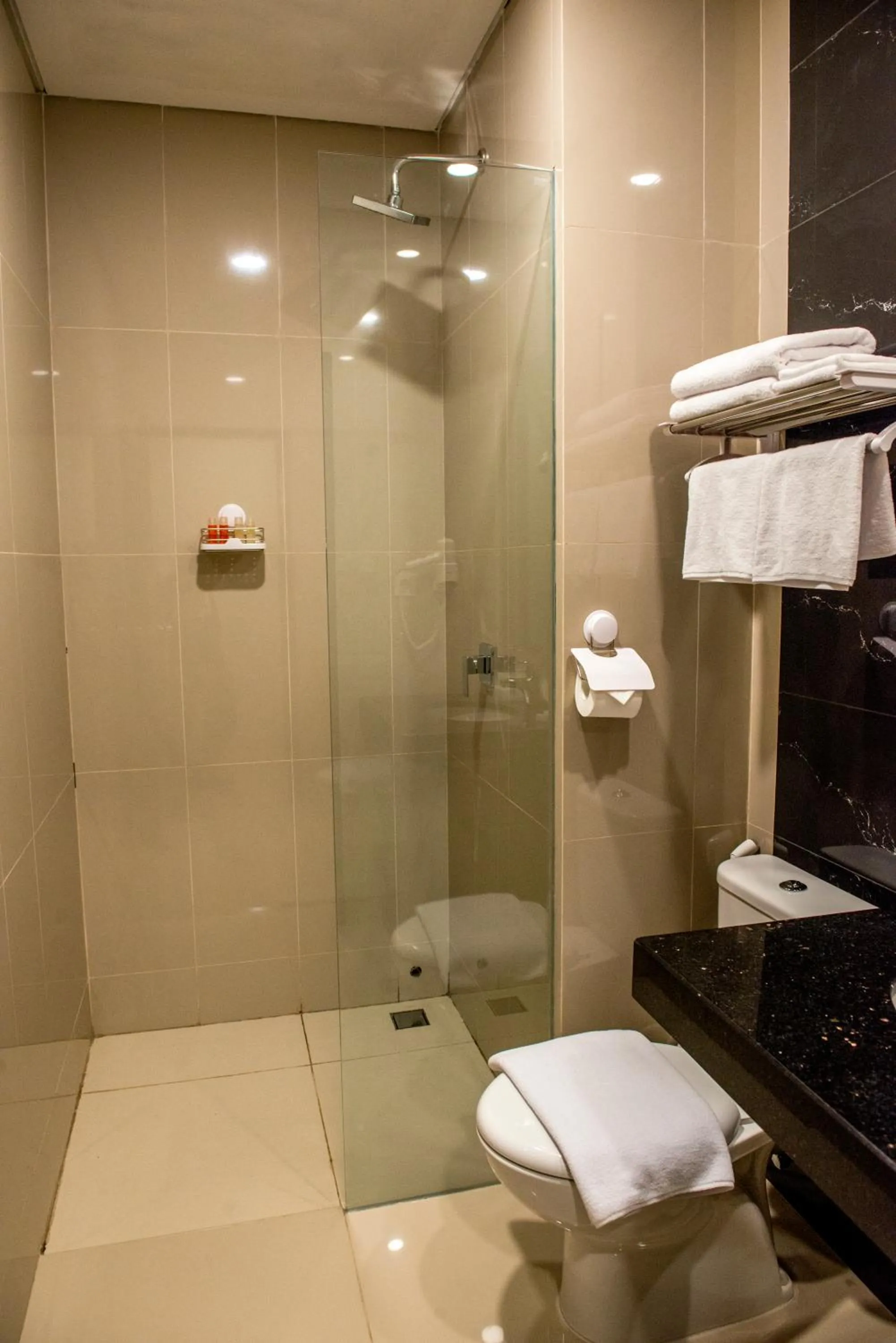Shower in Grand Padis Hotel