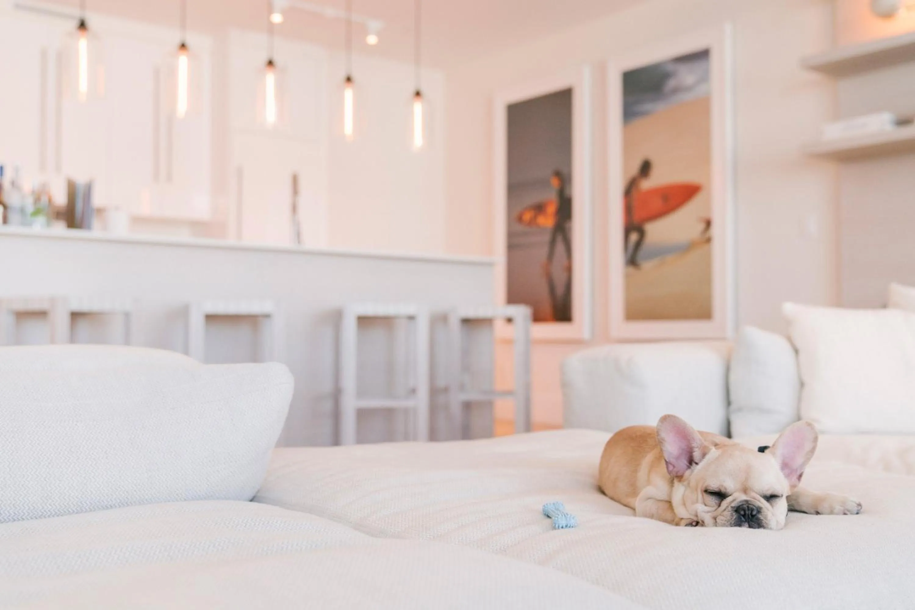 Other, Bed in W South Beach