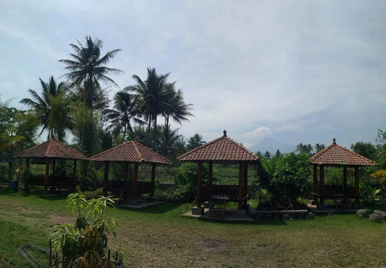 Property building in JOGLO Greenhouse