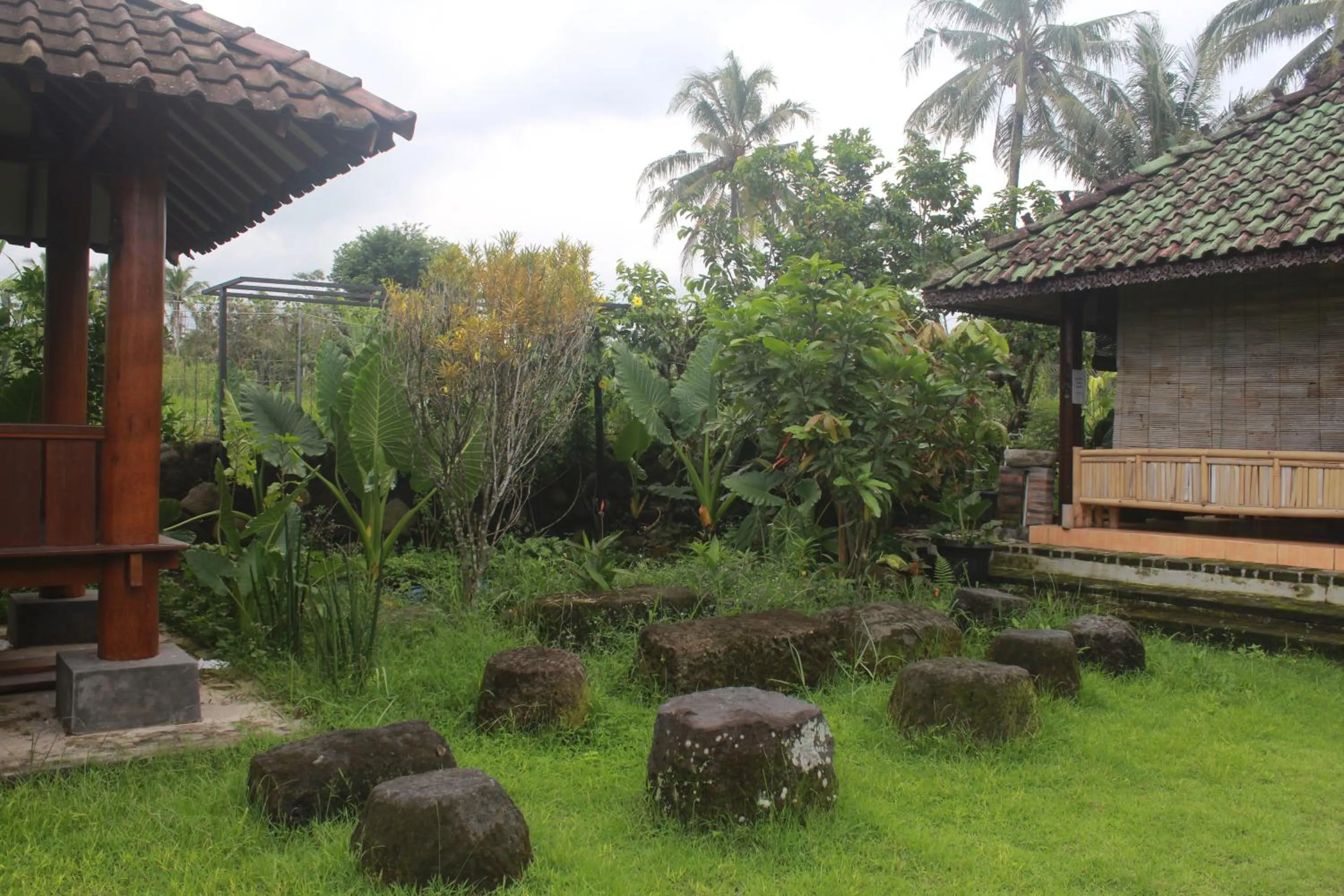 Garden in JOGLO Greenhouse