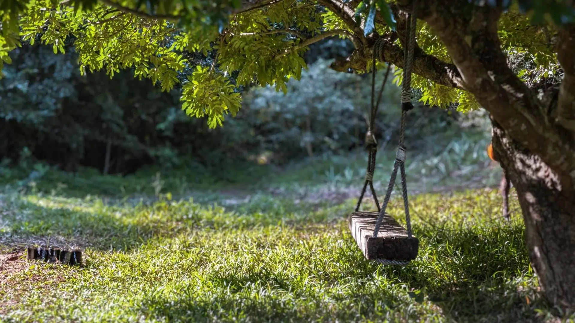 Natural landscape in Sky Island Resort