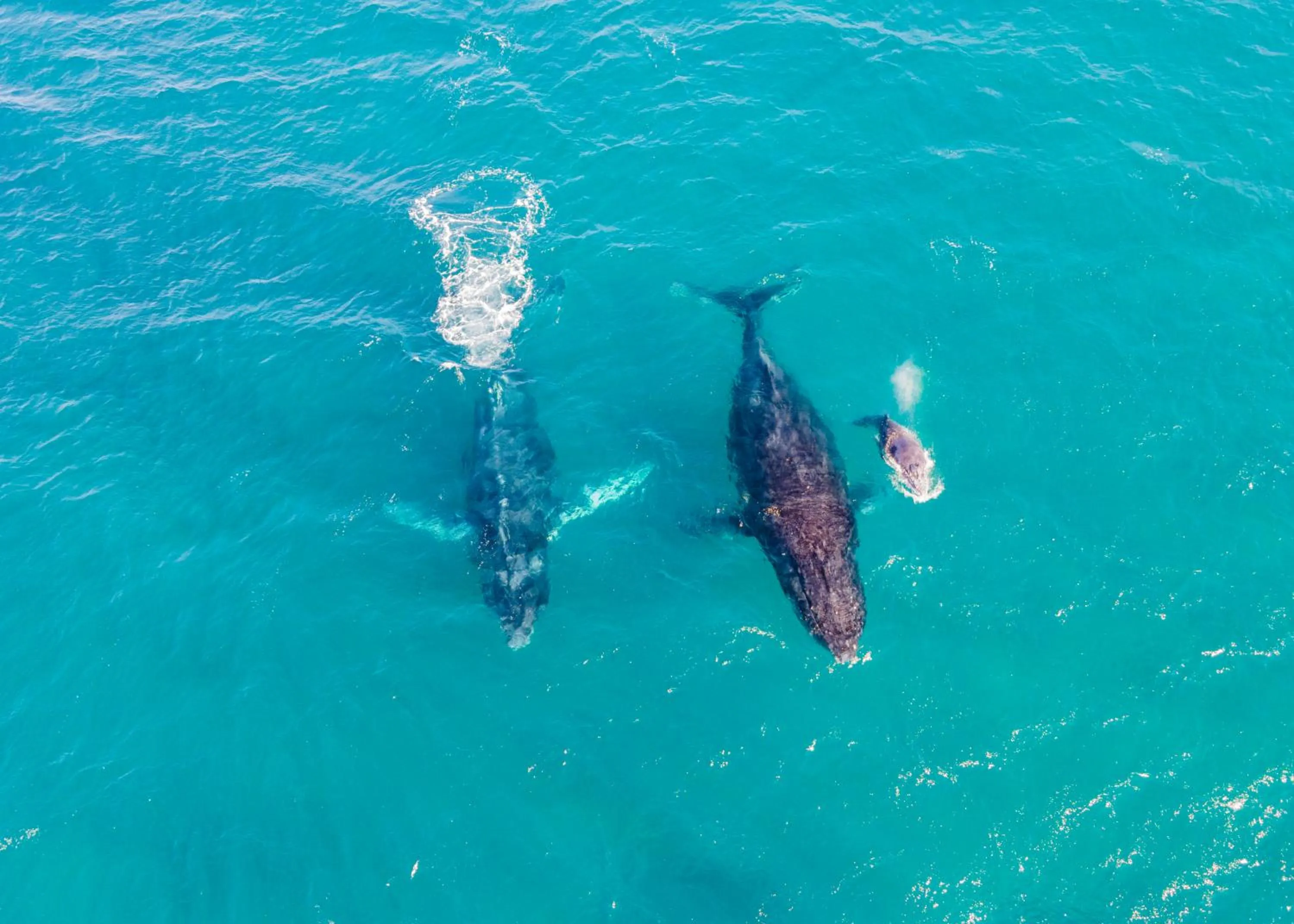 Bird's eye view in Sky Island Resort