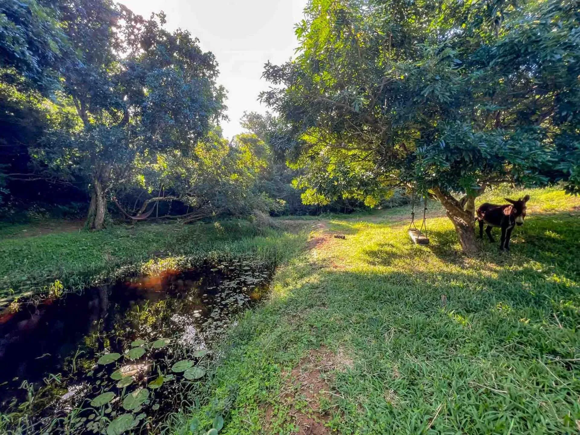 Natural landscape in Sky Island Resort