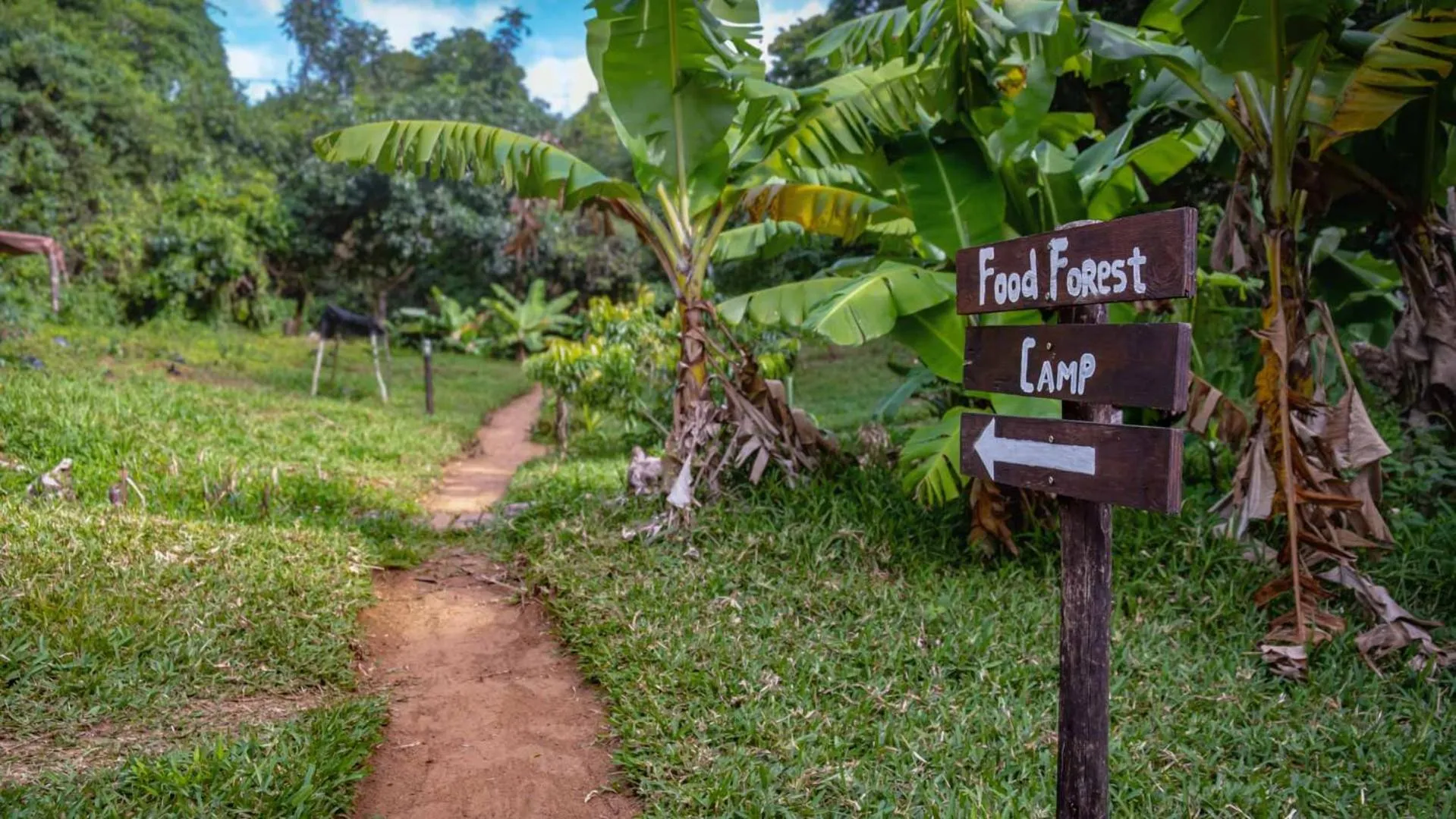 Property logo or sign in Sky Island Resort