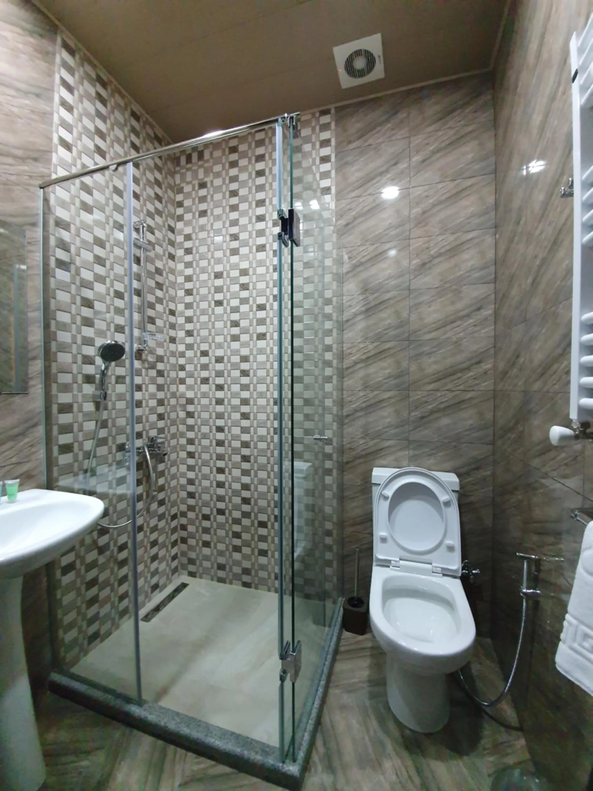 Shower in Hotel Soft