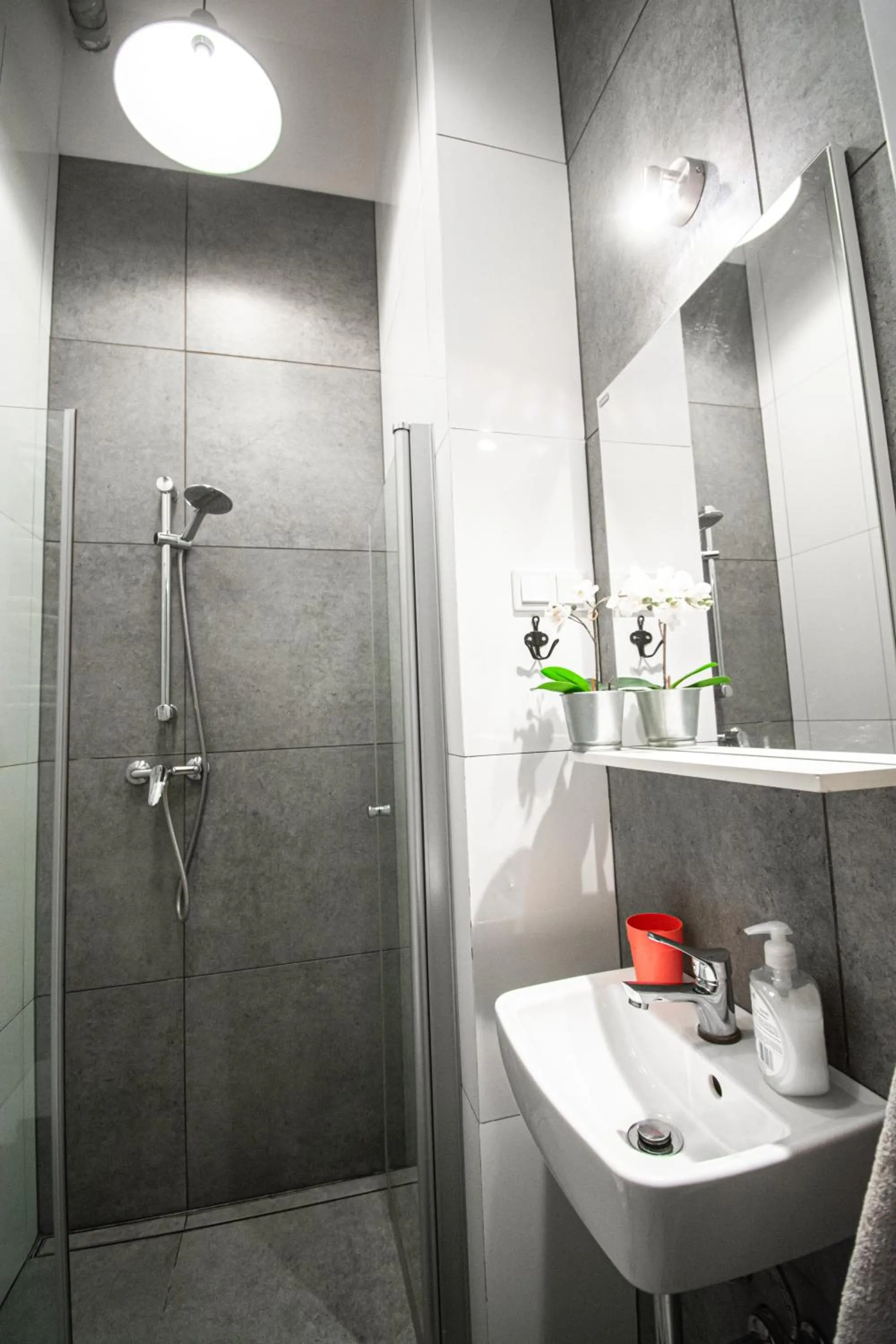 Shower in LION apartments