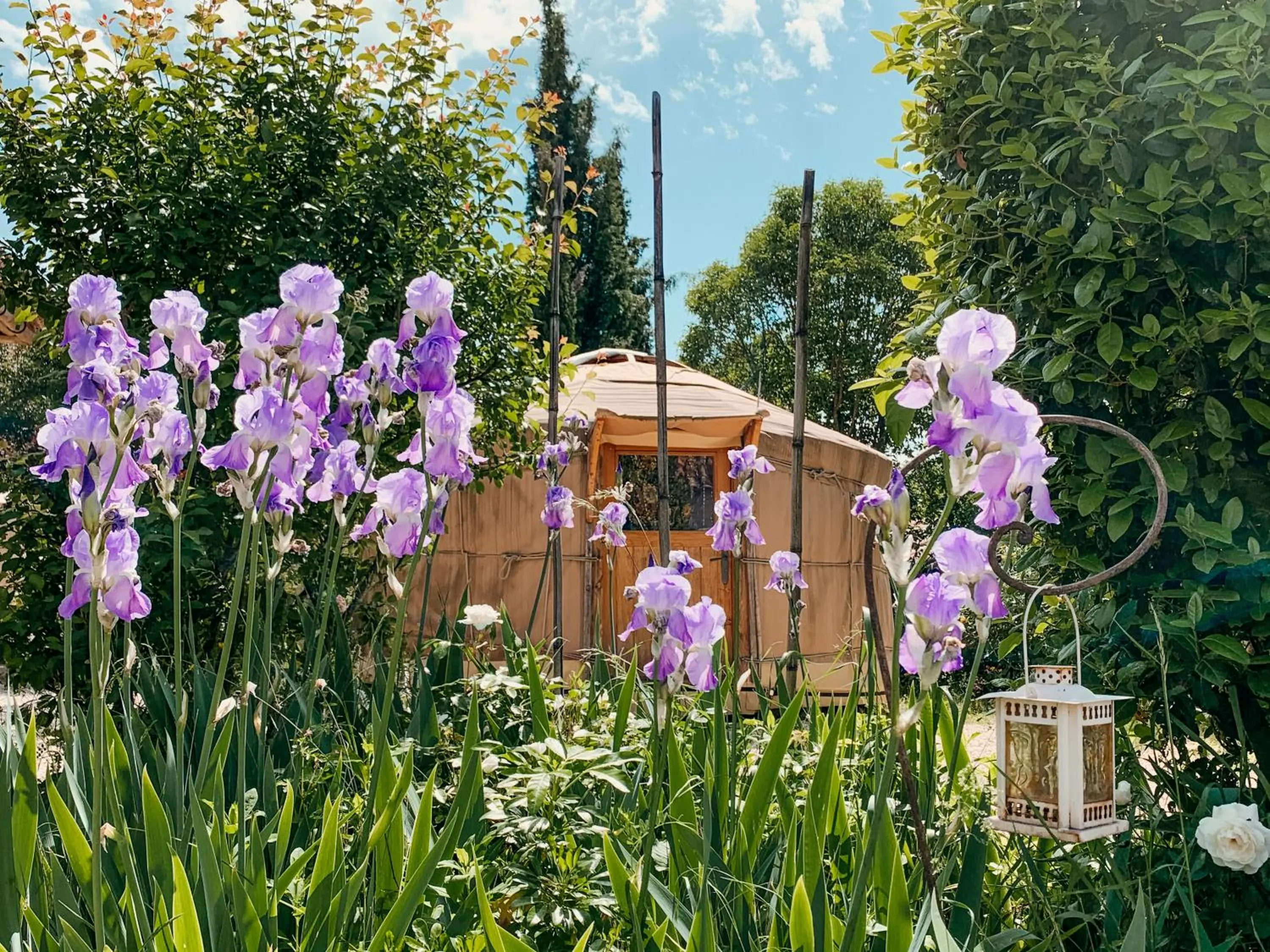 Yurt Tent (2 People) in Mas Escombelle