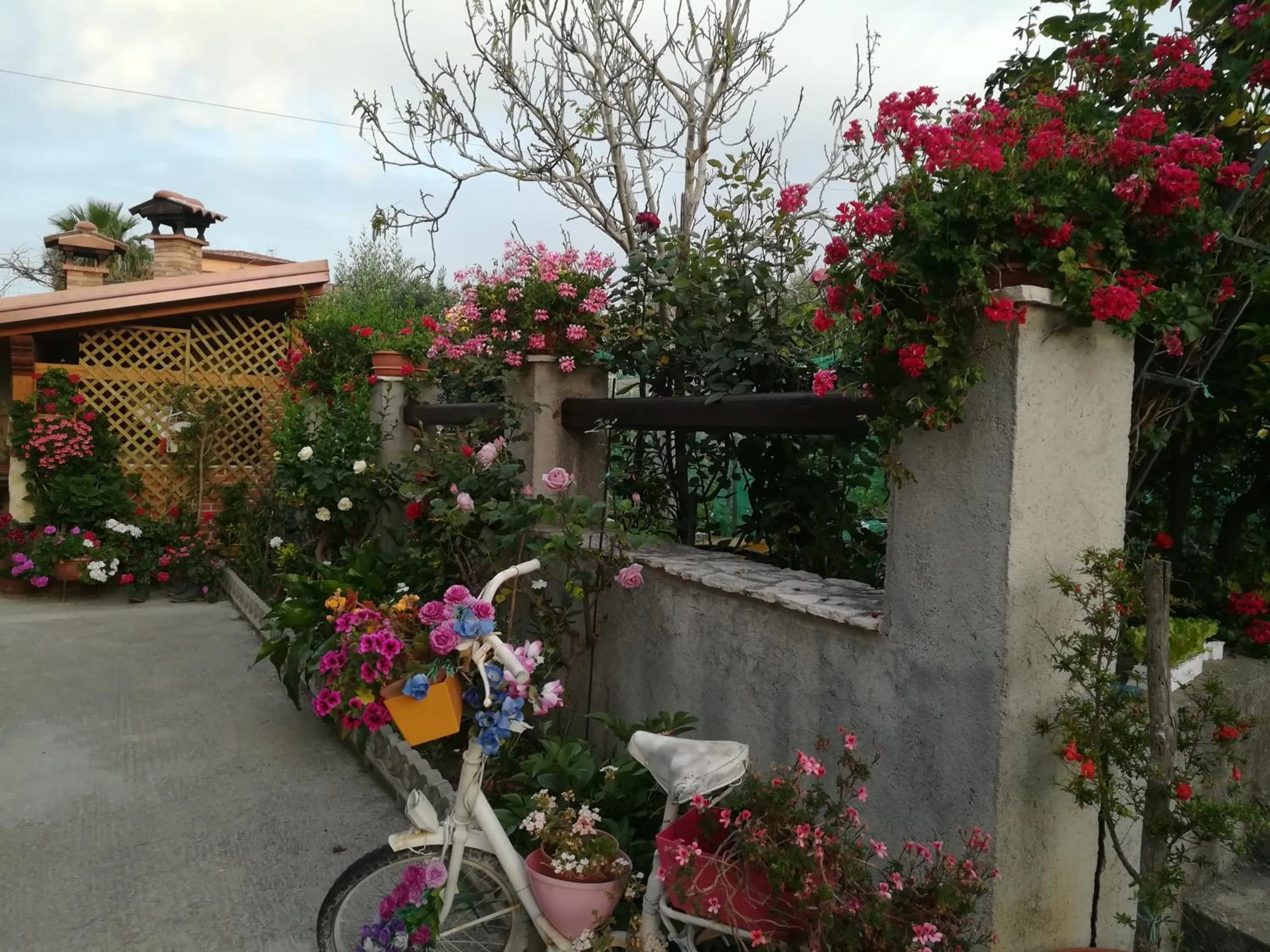 Property building in Villa delle rose