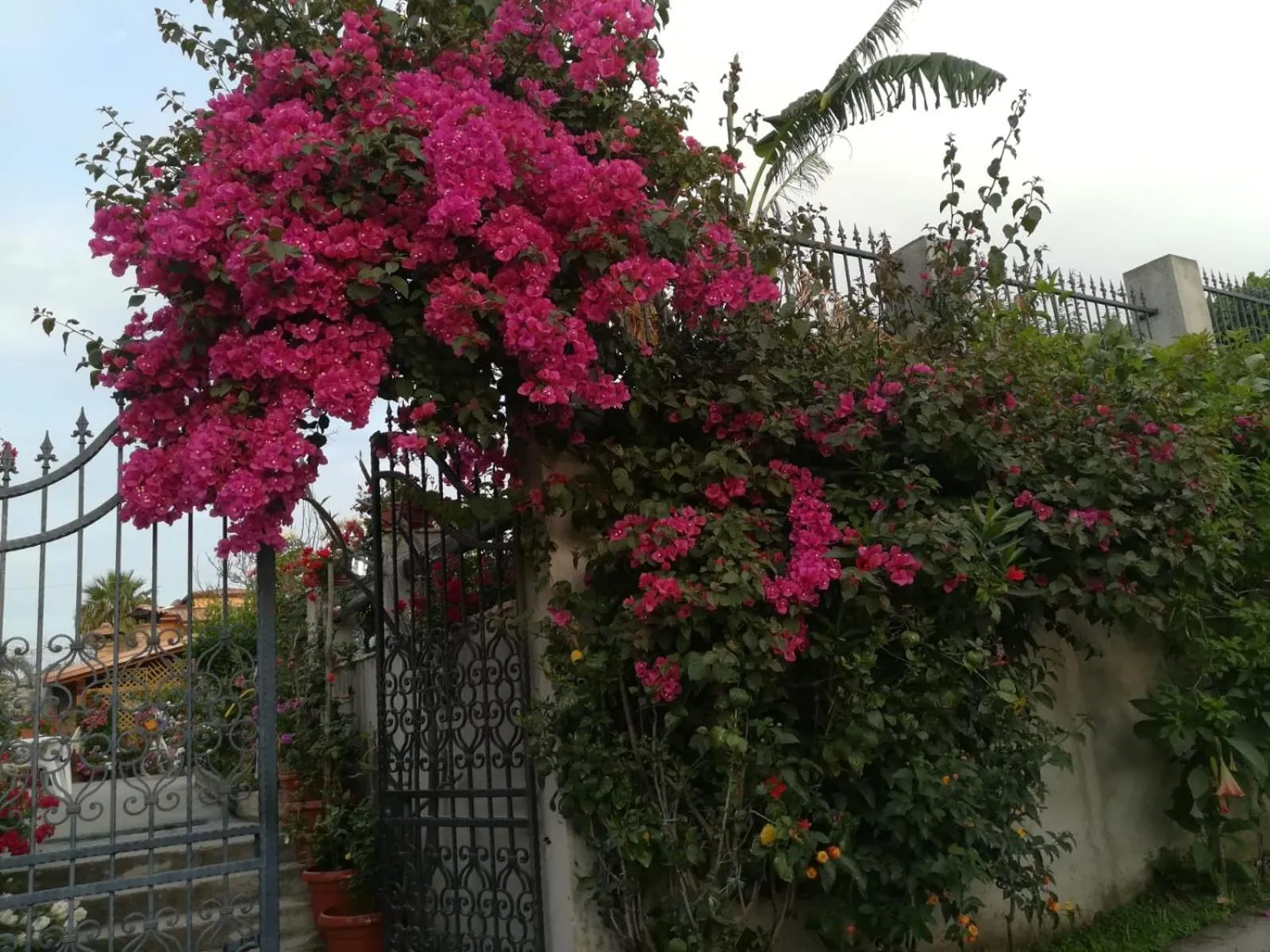 Property building in Villa delle rose