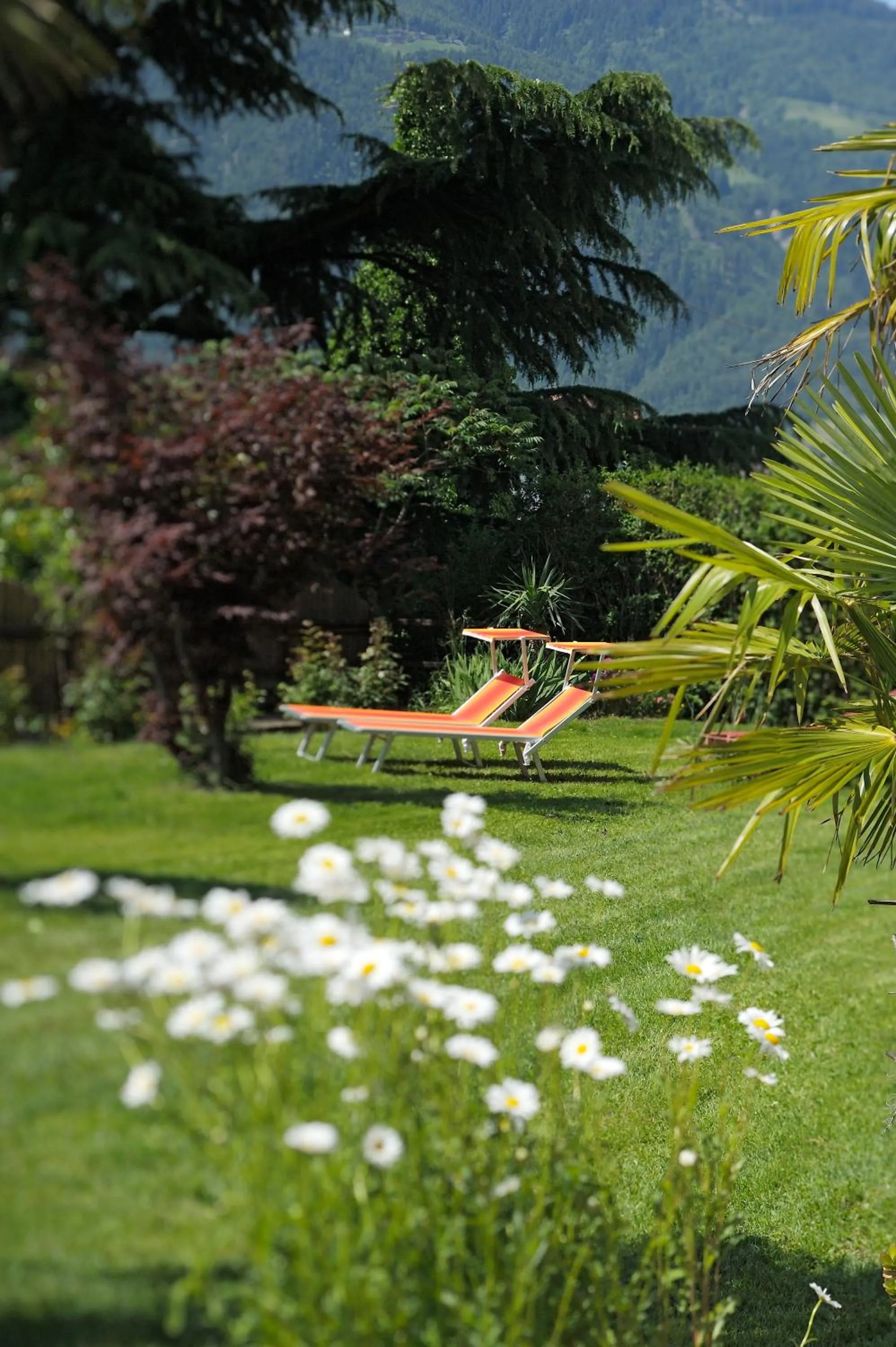 Day in Hotel Appartement Inge