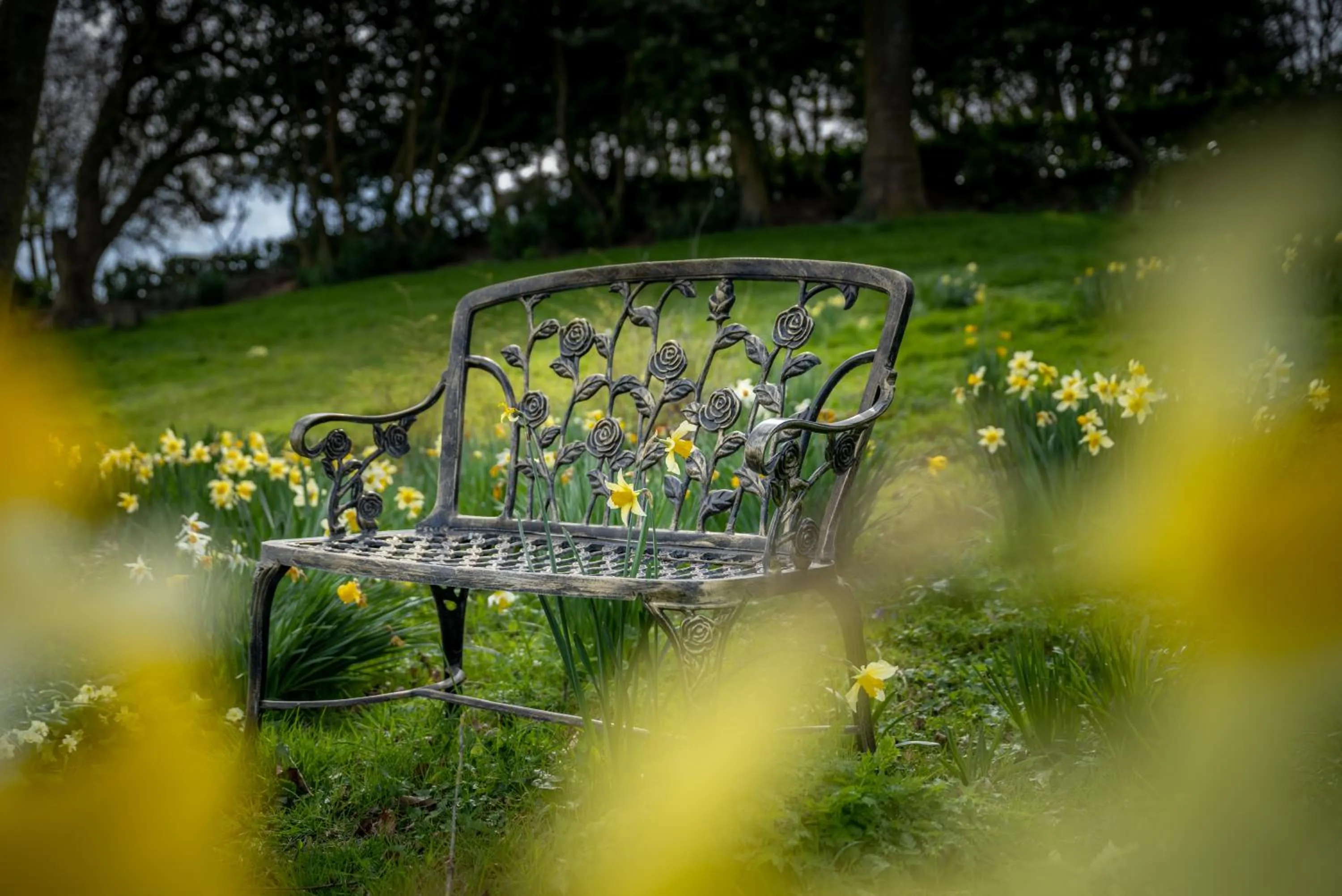 Spring in Croydon Hall
