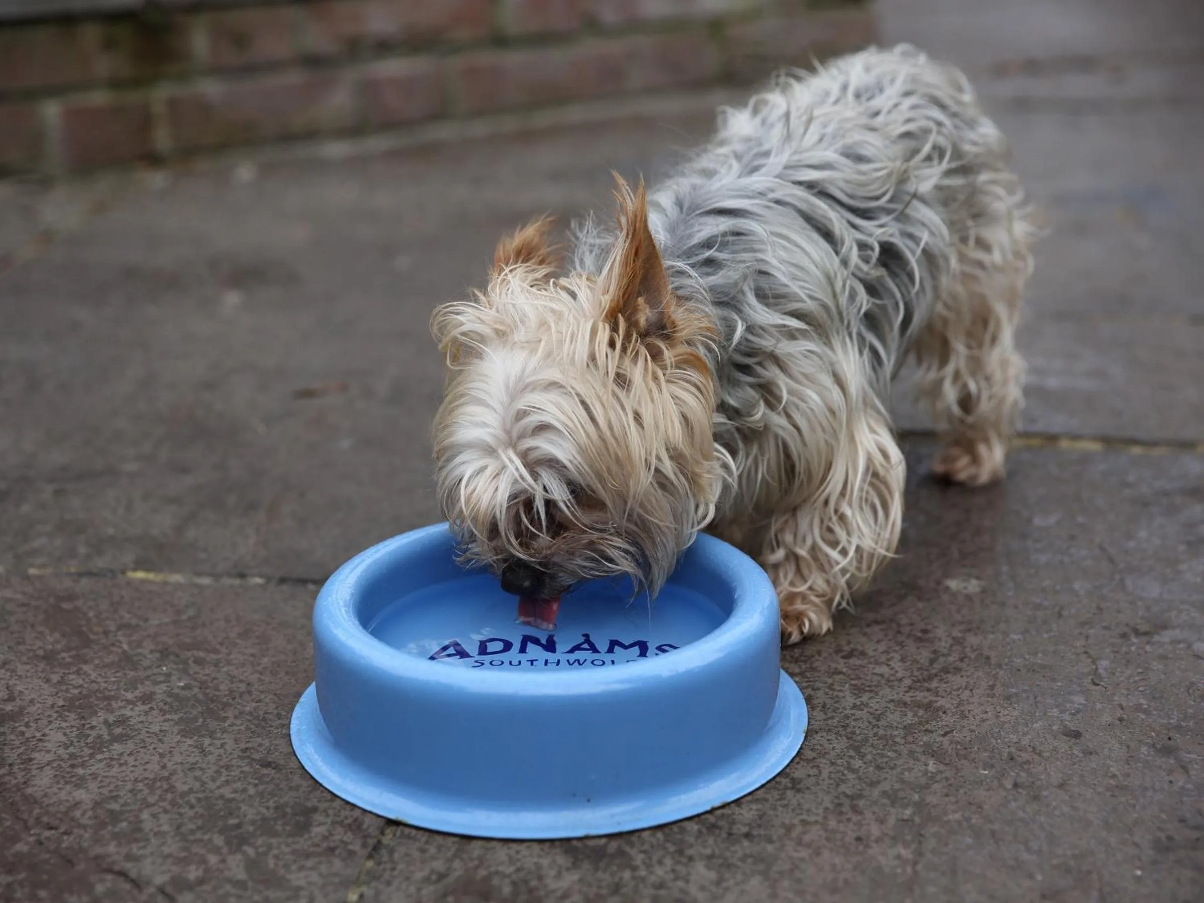 Property building in Recruiting Sergeant