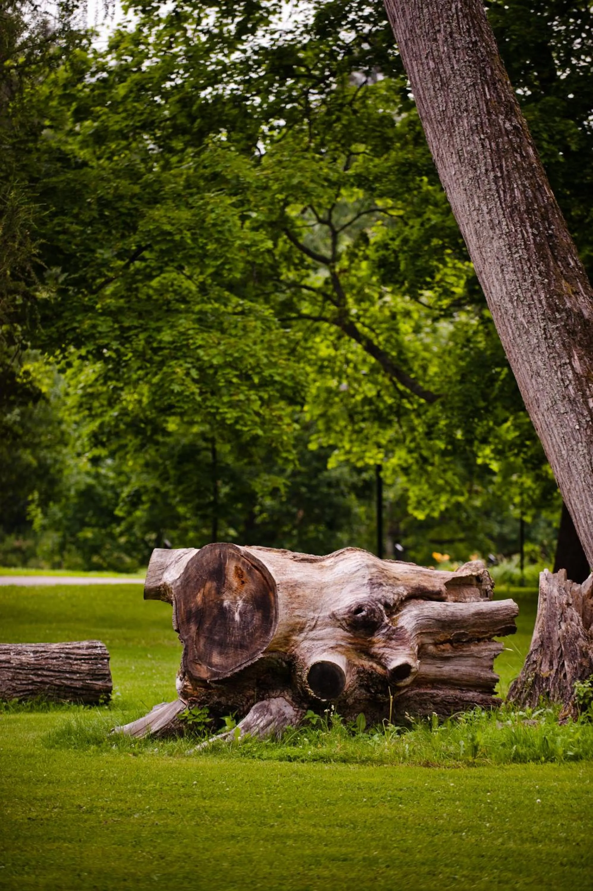 Natural landscape in Hämeenkylän Kartano