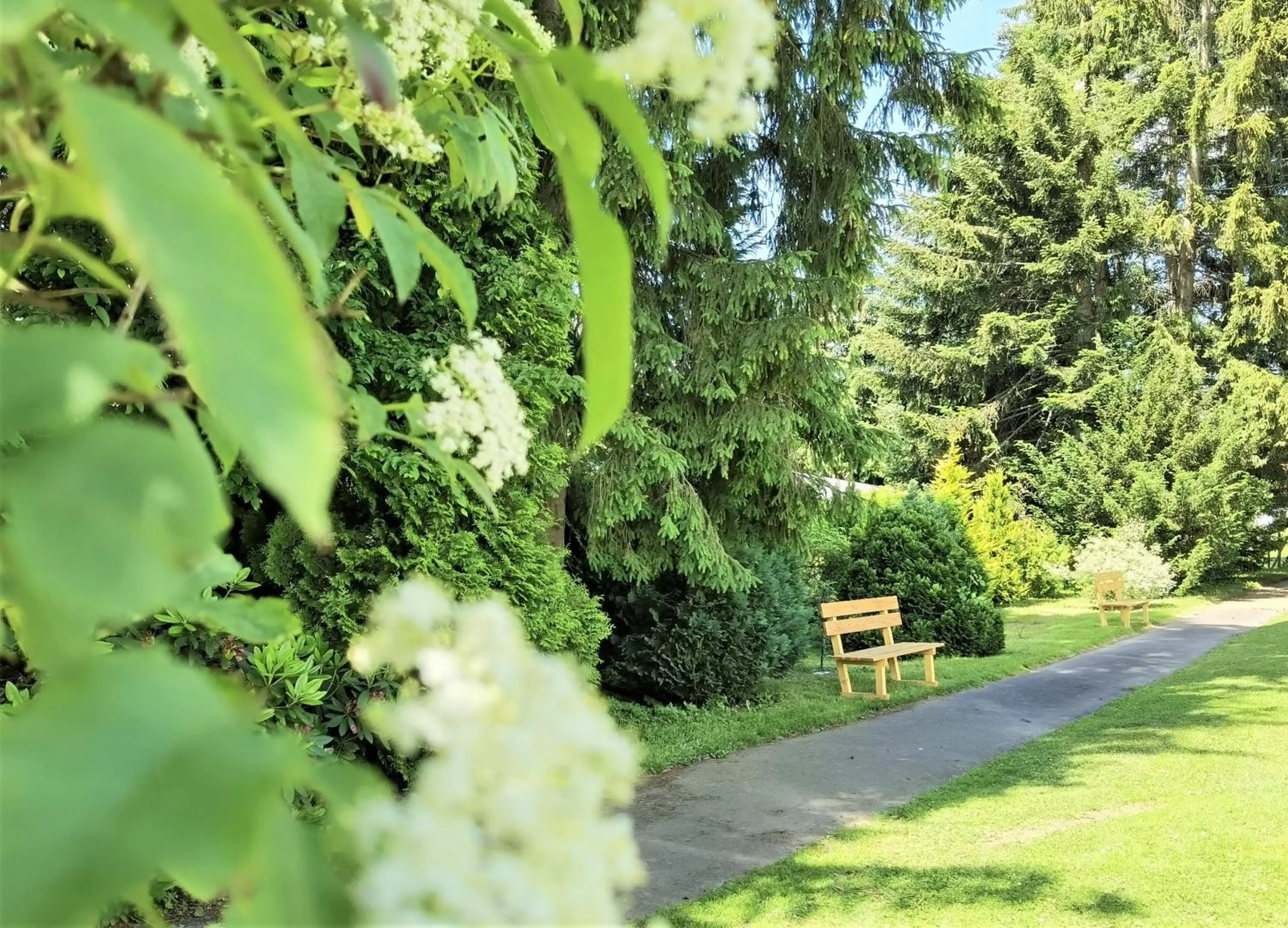 Garden in Hotel & Residence Hochriegel