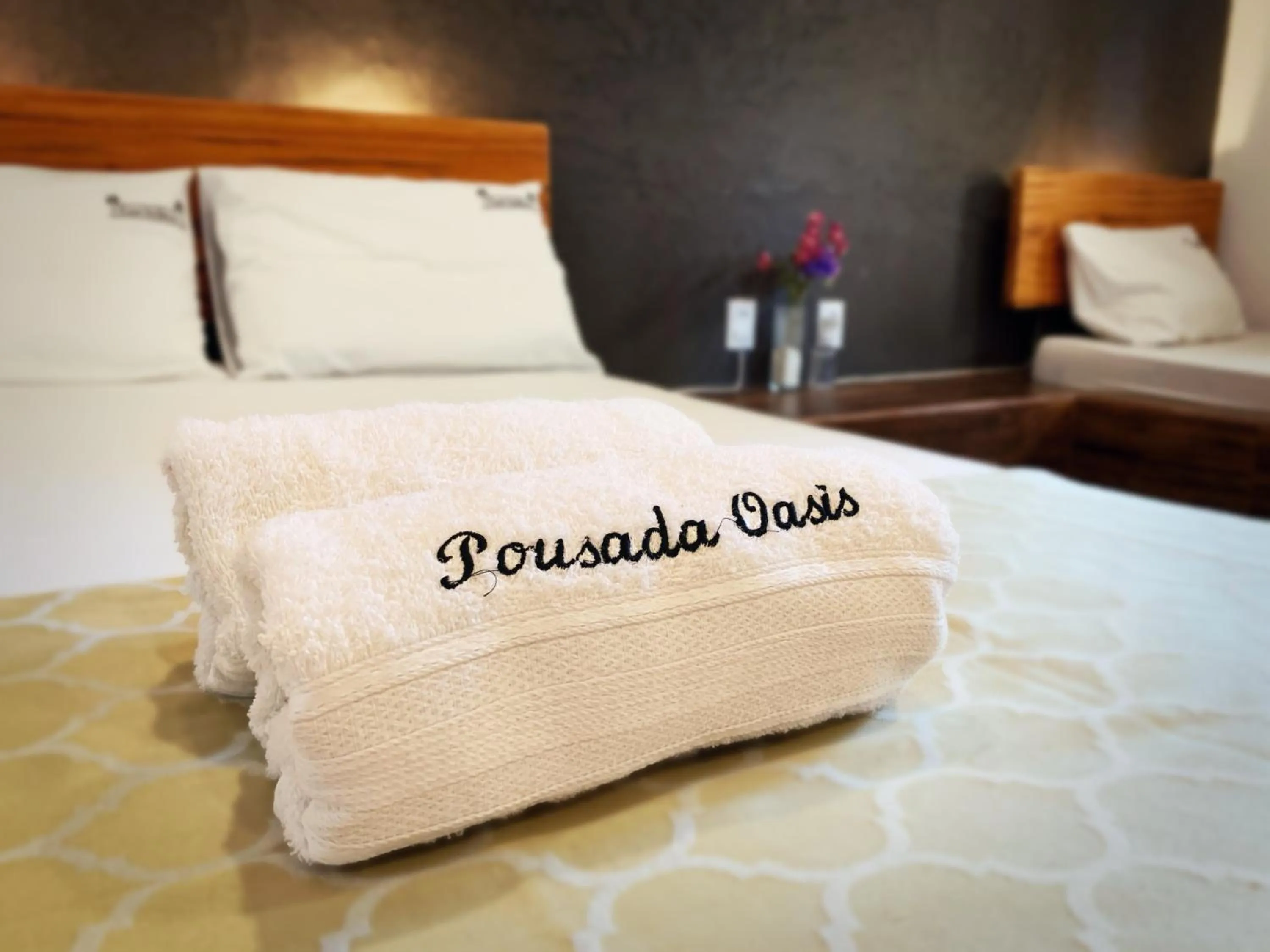 Double Room with Extra Bed - single occupancy in Pousada Oasis Paracuru