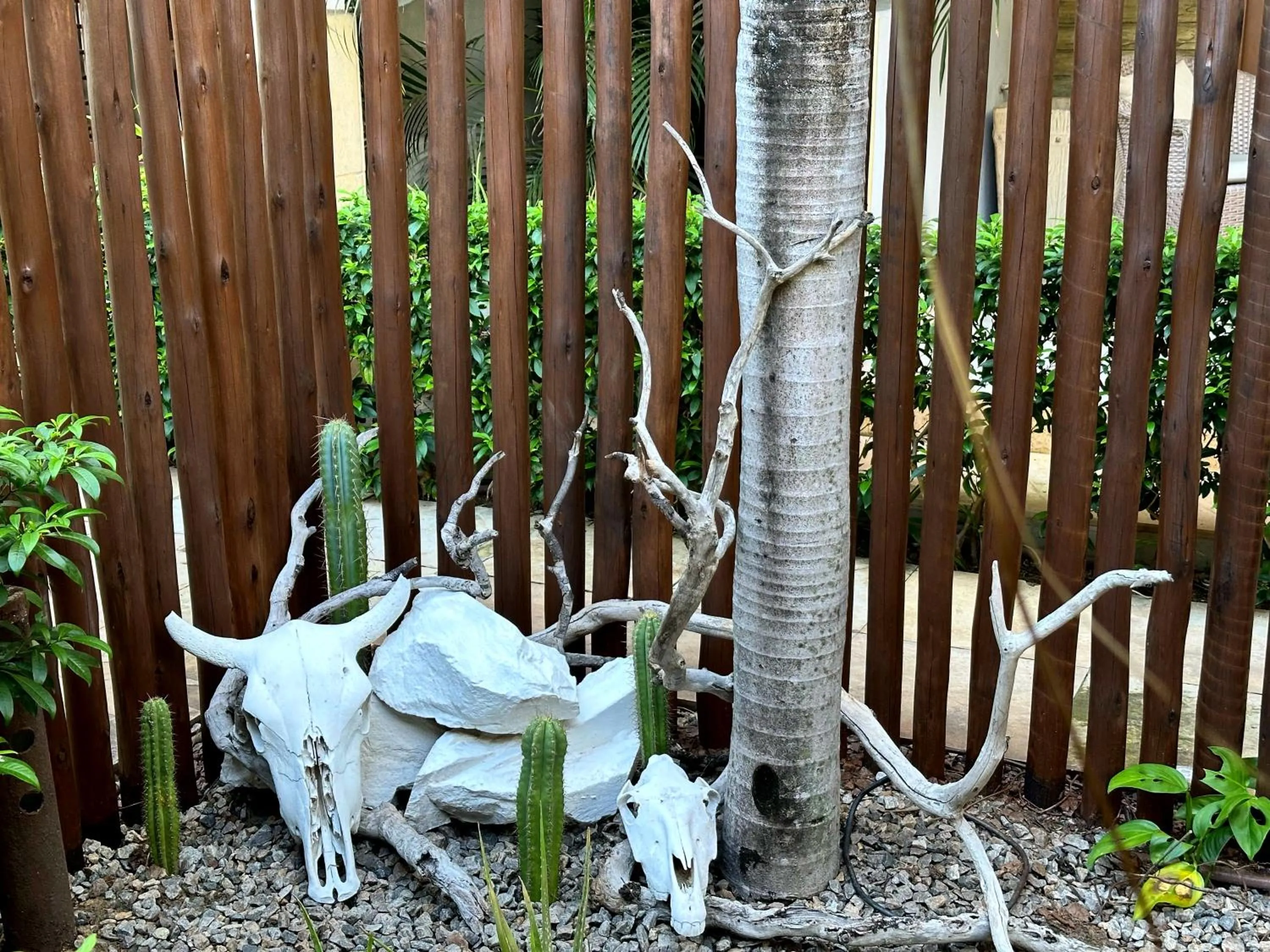 Day in Pousada Oasis Paracuru